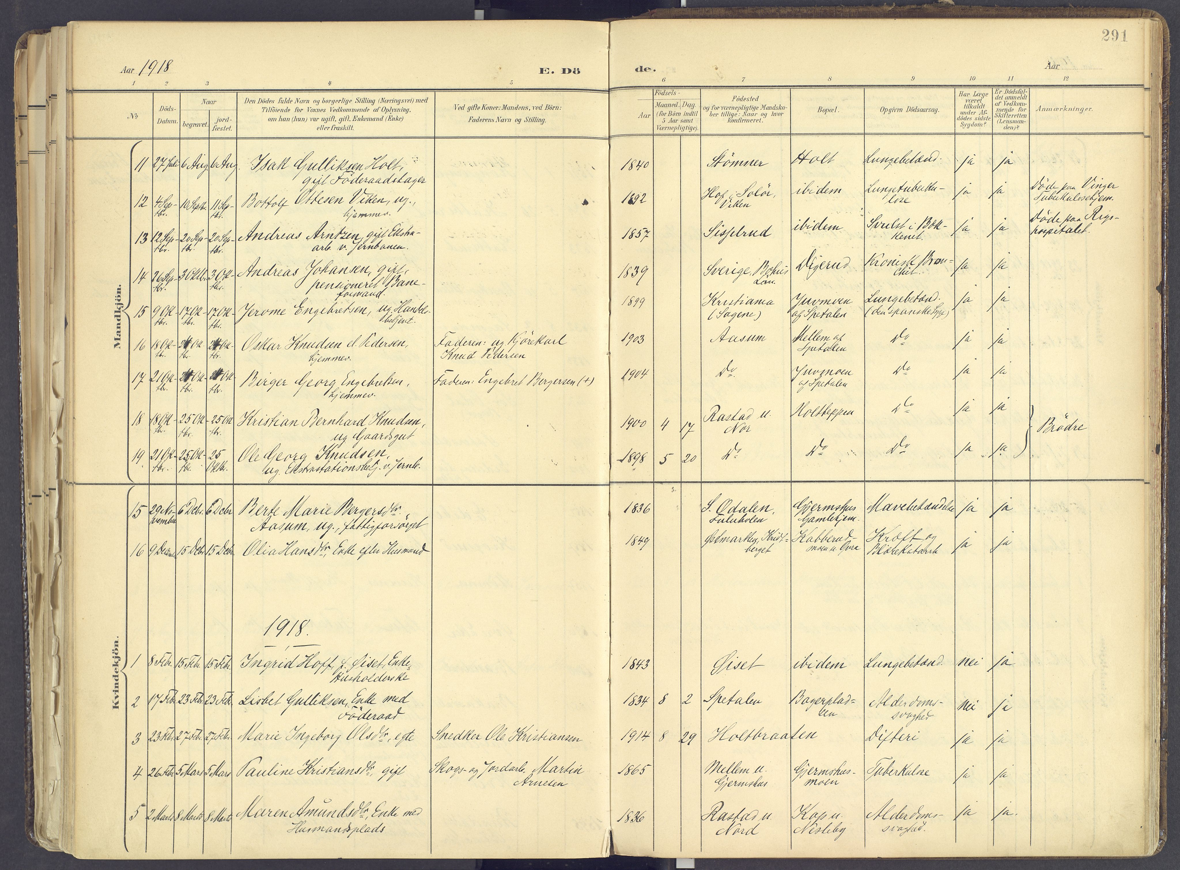 Vinger prestekontor, AV/SAH-PREST-024/H/Ha/Haa/L0017: Parish register (official) no. 17, 1901-1927, p. 291