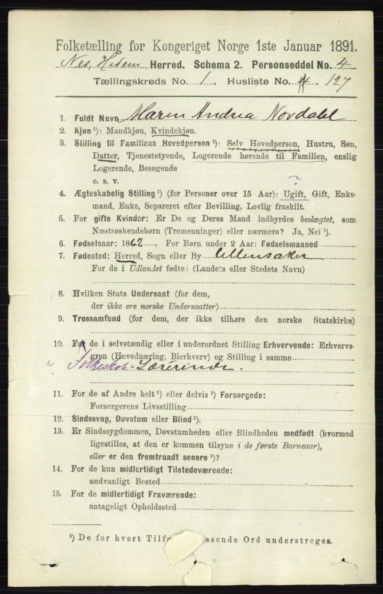 RA, 1891 census for 0411 Nes, 1891, p. 1001