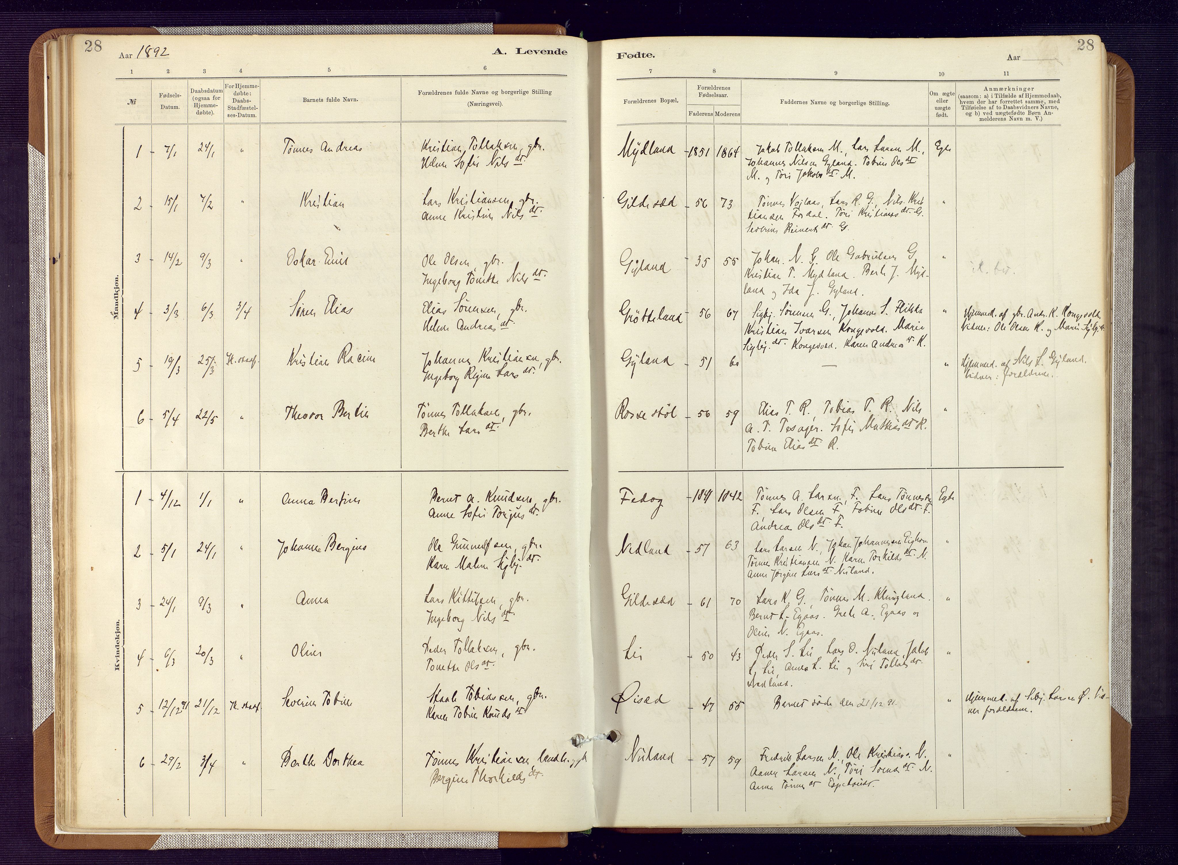 Bakke sokneprestkontor, SAK/1111-0002/F/Fa/Fab/L0003: Parish register (official) no. A 3, 1884-1921, p. 28