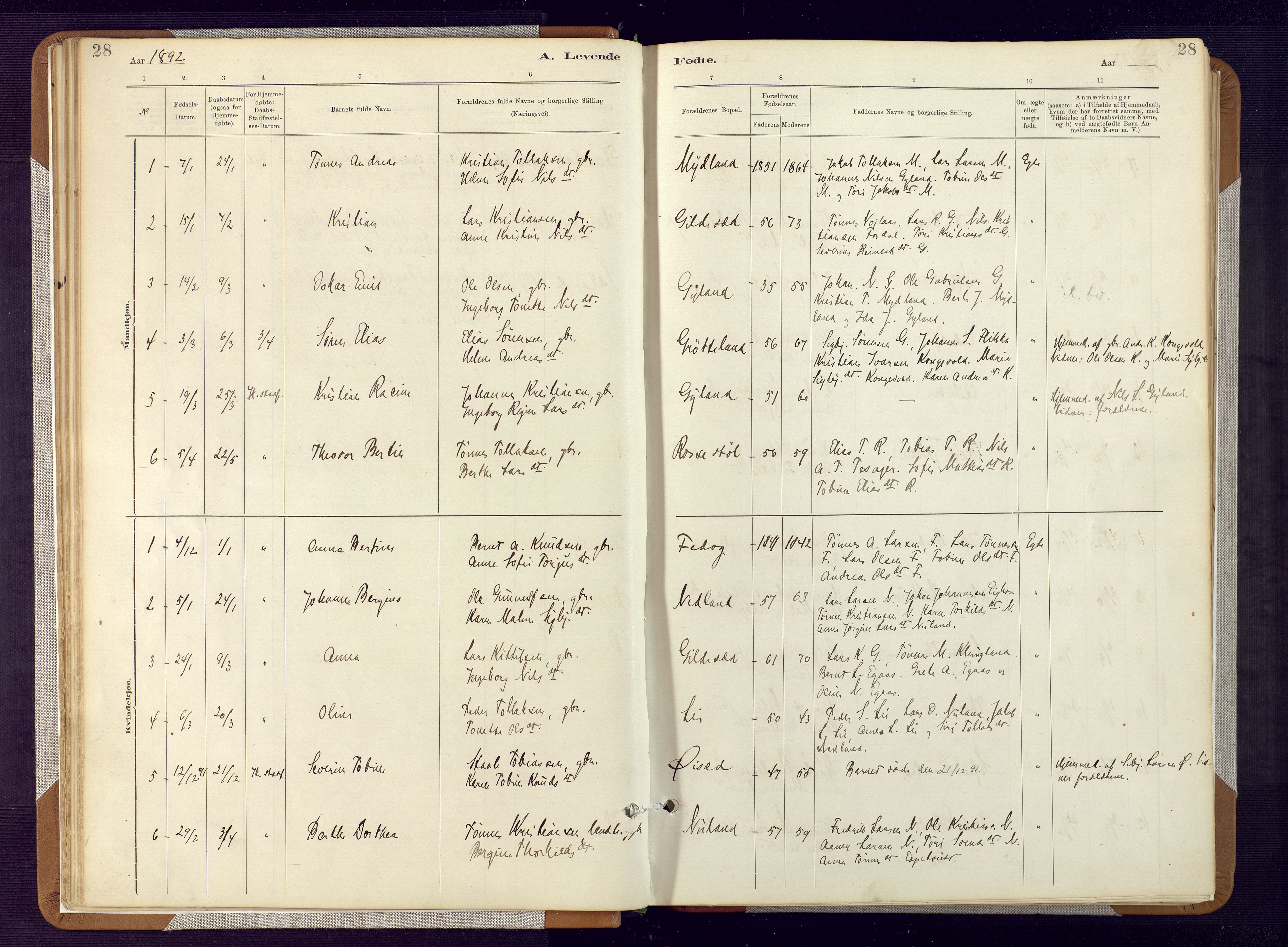 Bakke sokneprestkontor, AV/SAK-1111-0002/F/Fa/Fab/L0003: Parish register (official) no. A 3, 1884-1921, p. 28