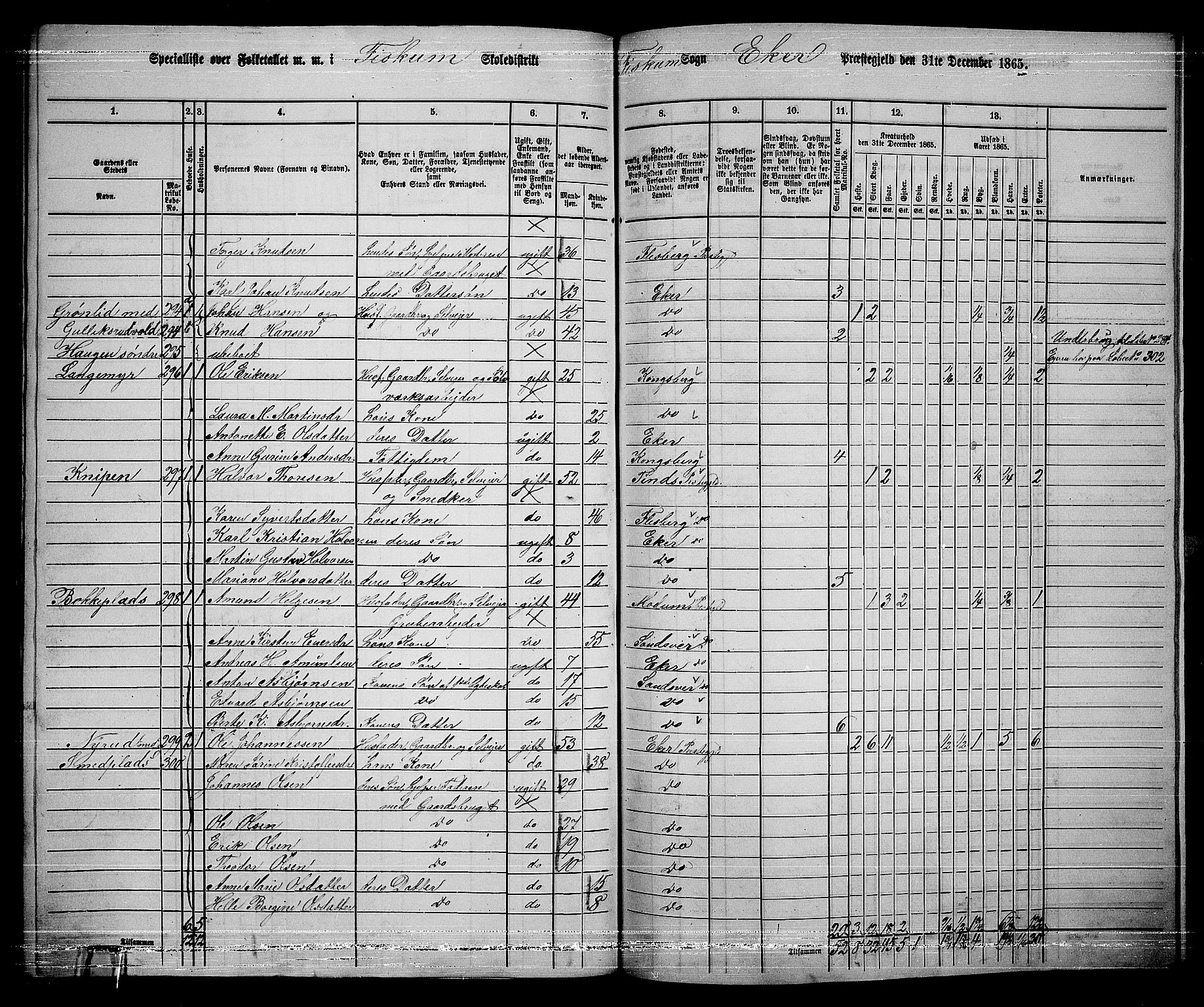 RA, 1865 census for Eiker, 1865, p. 517