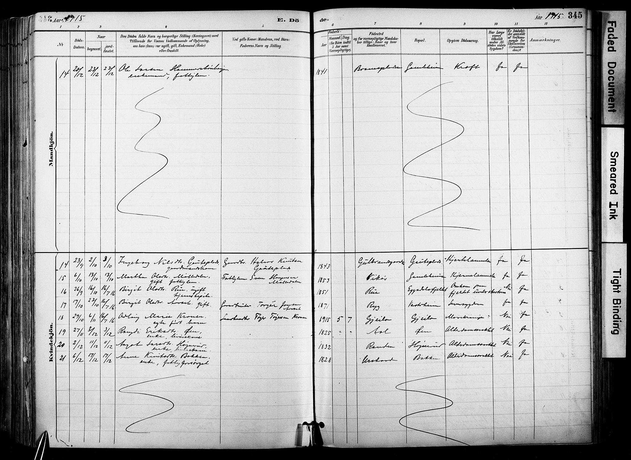 Hol kirkebøker, AV/SAKO-A-227/F/Fa/L0003: Parish register (official) no. I 3, 1887-1918, p. 345