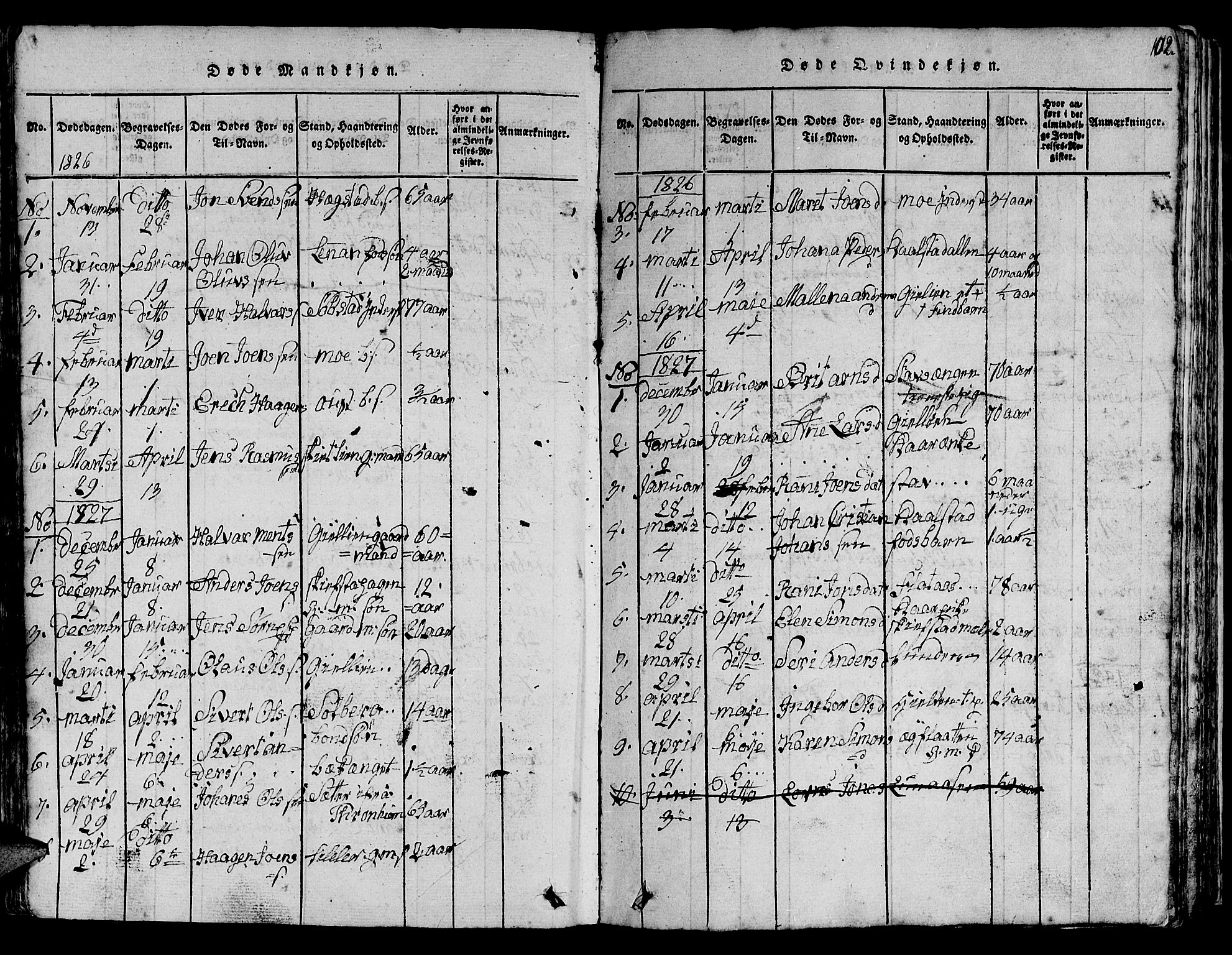 Ministerialprotokoller, klokkerbøker og fødselsregistre - Sør-Trøndelag, SAT/A-1456/613/L0393: Parish register (copy) no. 613C01, 1816-1886, p. 102