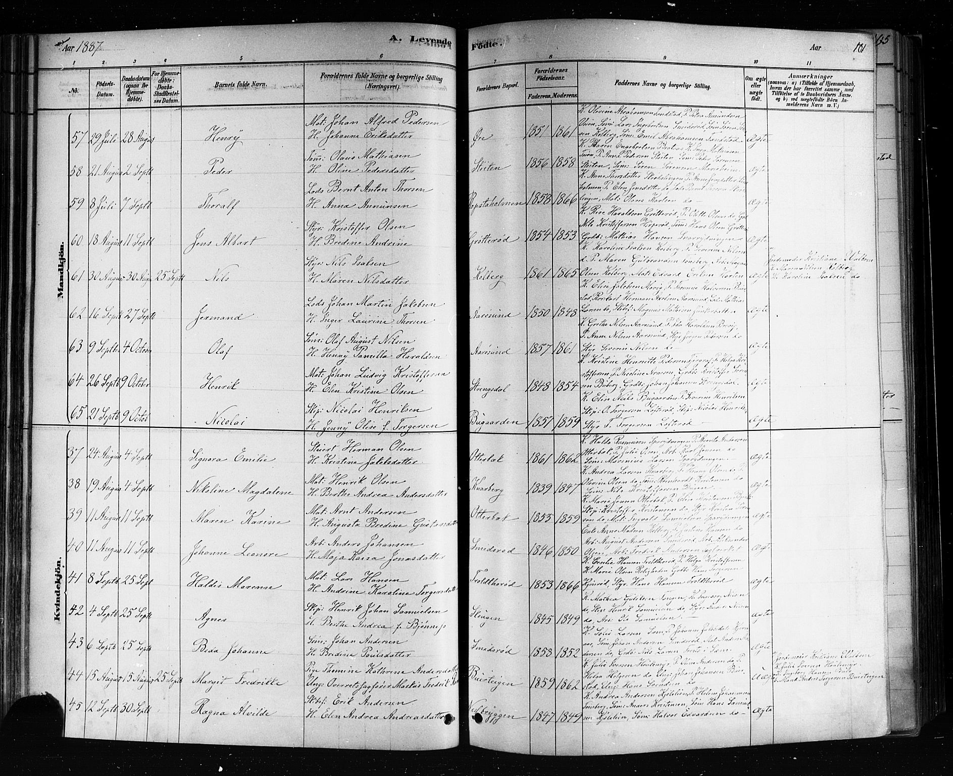 Nøtterøy kirkebøker, AV/SAKO-A-354/F/Fa/L0008: Parish register (official) no. I 8, 1878-1893, p. 101