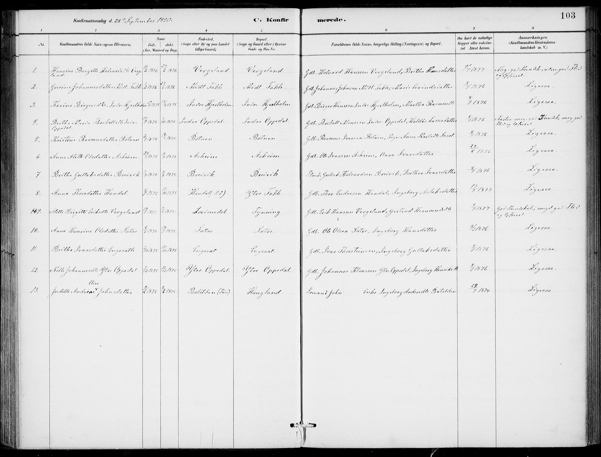 Gulen sokneprestembete, AV/SAB-A-80201/H/Haa/Haac/L0002: Parish register (official) no. C  2, 1882-1914, p. 103