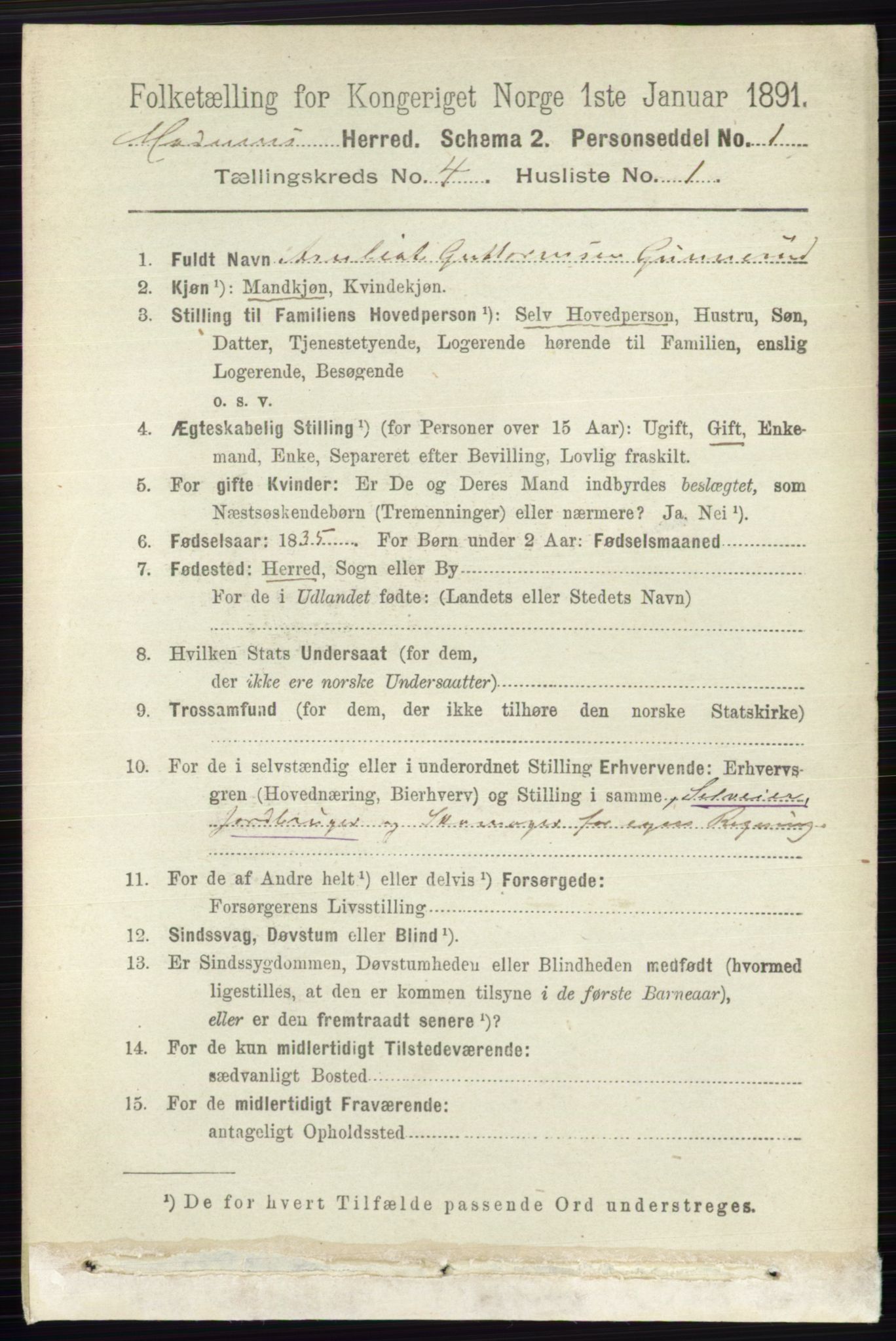 RA, 1891 census for 0623 Modum, 1891, p. 989