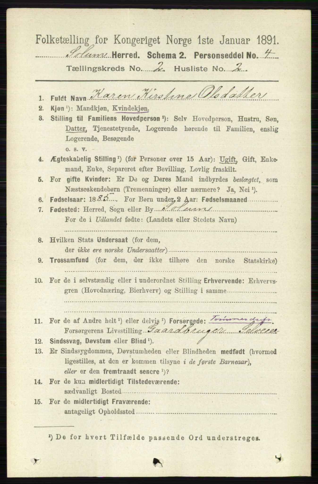 RA, 1891 census for 0818 Solum, 1891, p. 126
