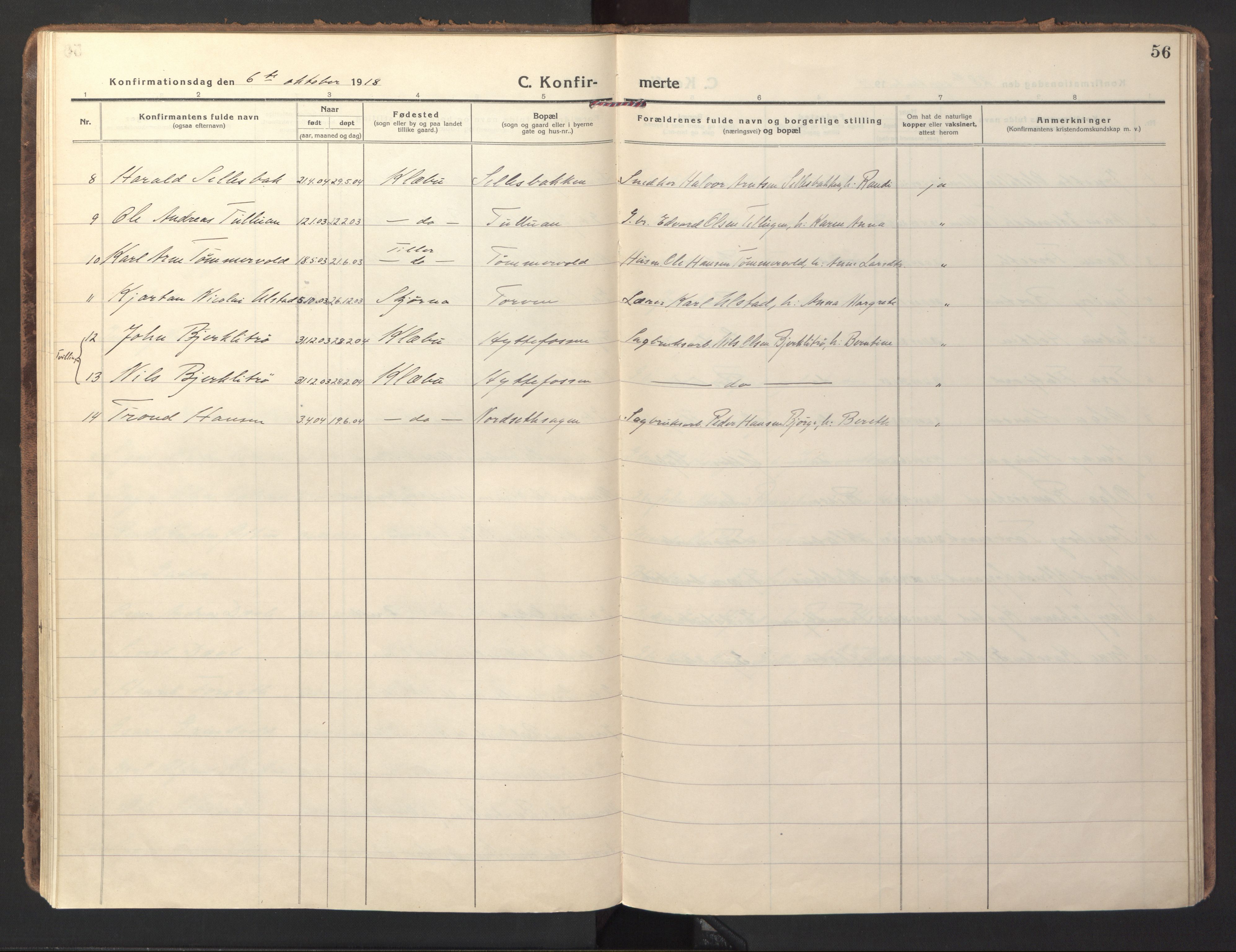 Ministerialprotokoller, klokkerbøker og fødselsregistre - Sør-Trøndelag, AV/SAT-A-1456/618/L0449: Parish register (official) no. 618A12, 1917-1924, p. 56