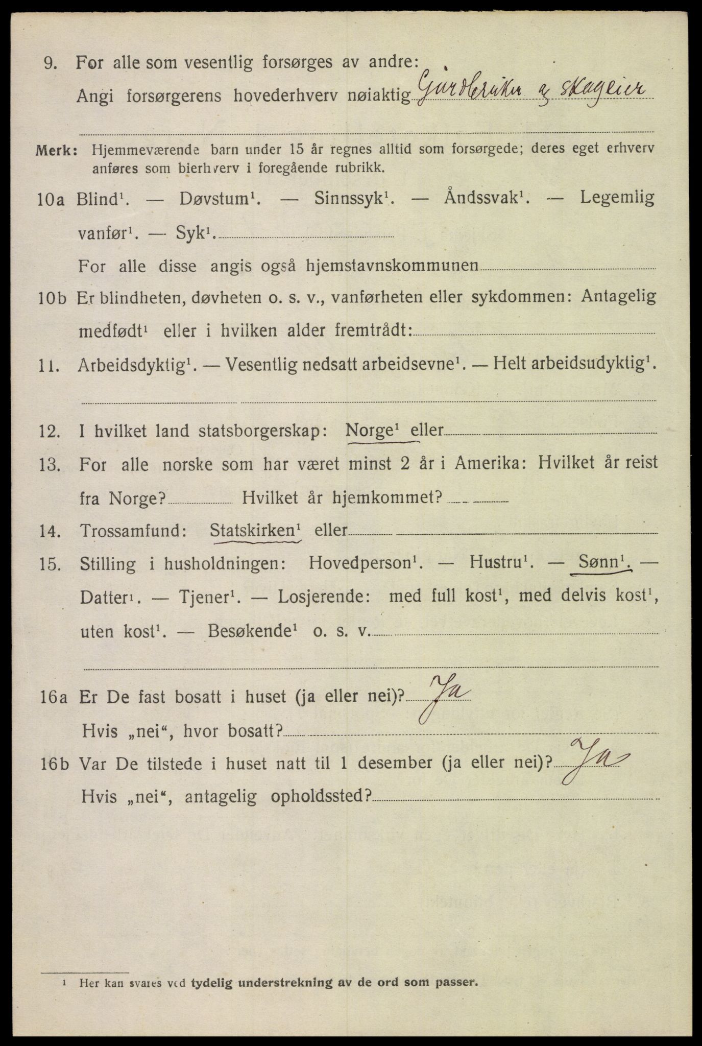 SAH, 1920 census for Åsnes, 1920, p. 3601