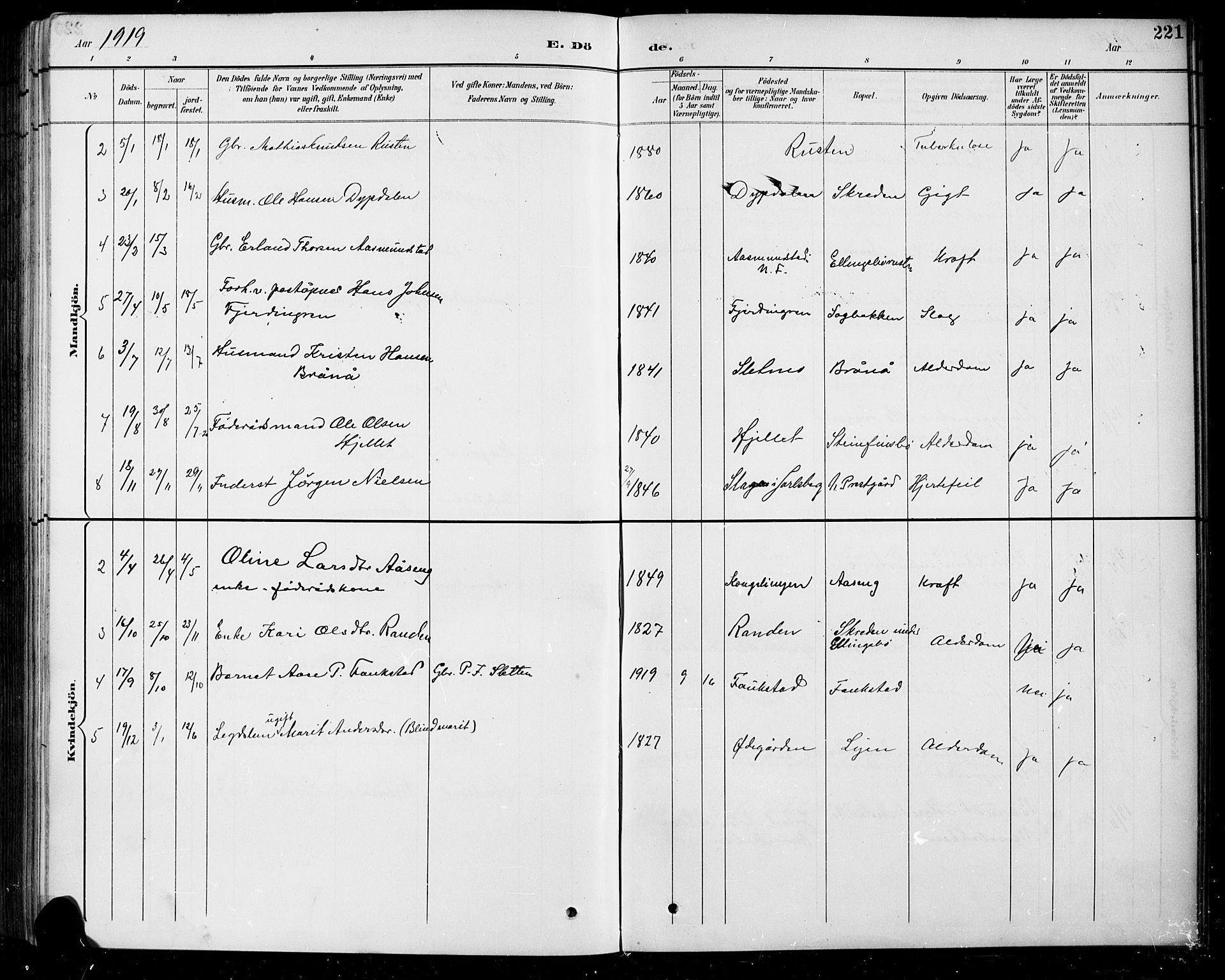 Sel prestekontor, SAH/PREST-074/H/Ha/Hab/L0005: Parish register (copy) no. 5, 1894-1923, p. 221