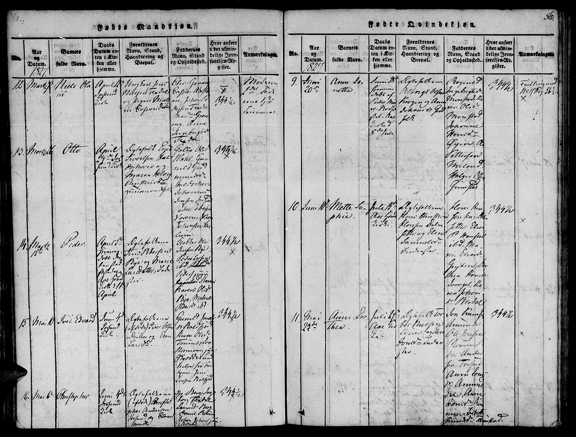 Ministerialprotokoller, klokkerbøker og fødselsregistre - Sør-Trøndelag, AV/SAT-A-1456/655/L0675: Parish register (official) no. 655A04, 1818-1830, p. 56