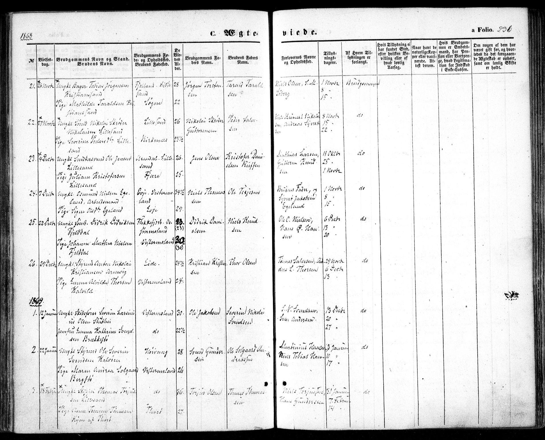 Vestre Moland sokneprestkontor, SAK/1111-0046/F/Fa/Fab/L0007: Parish register (official) no. A 7, 1859-1872, p. 236