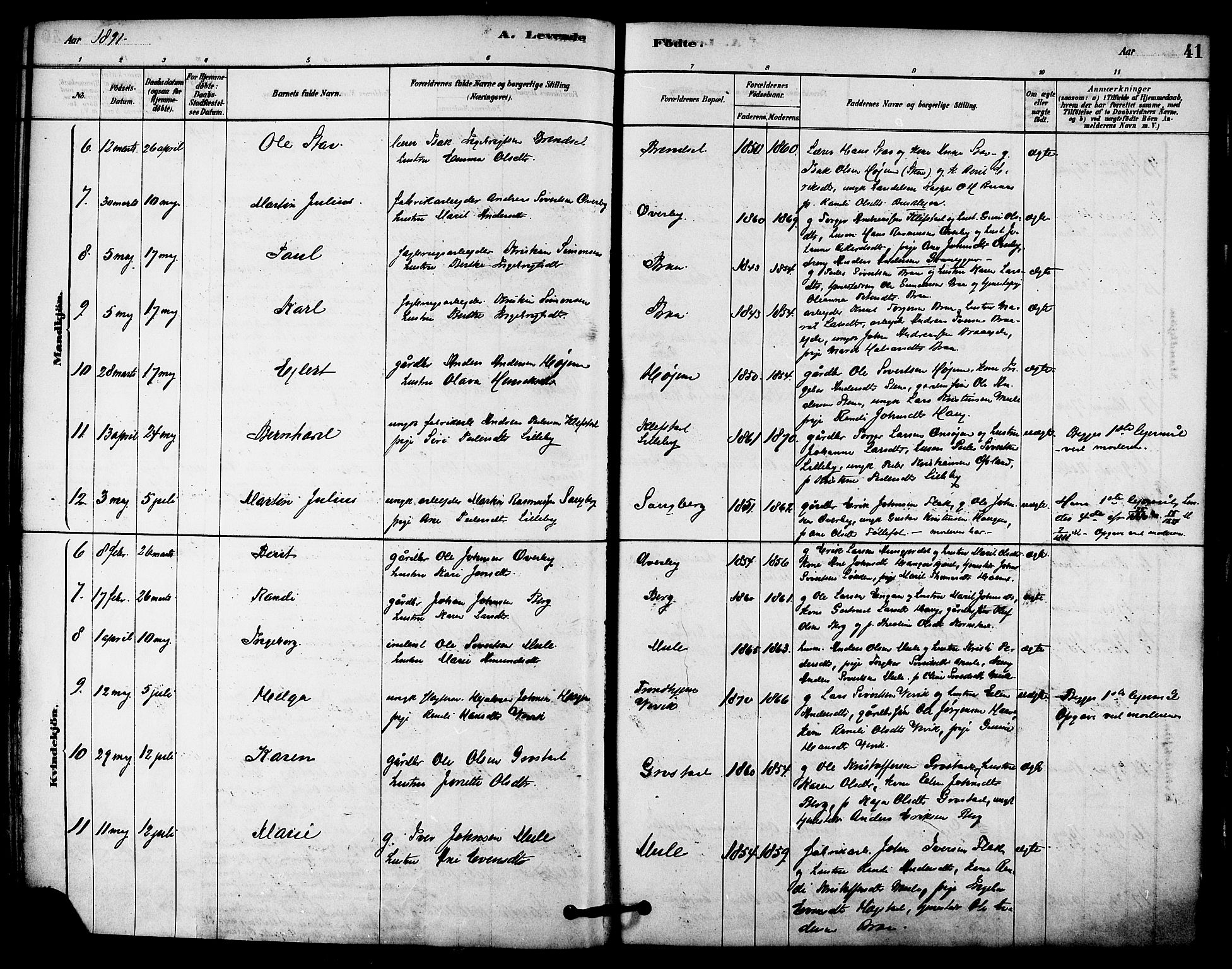 Ministerialprotokoller, klokkerbøker og fødselsregistre - Sør-Trøndelag, AV/SAT-A-1456/612/L0378: Parish register (official) no. 612A10, 1878-1897, p. 41