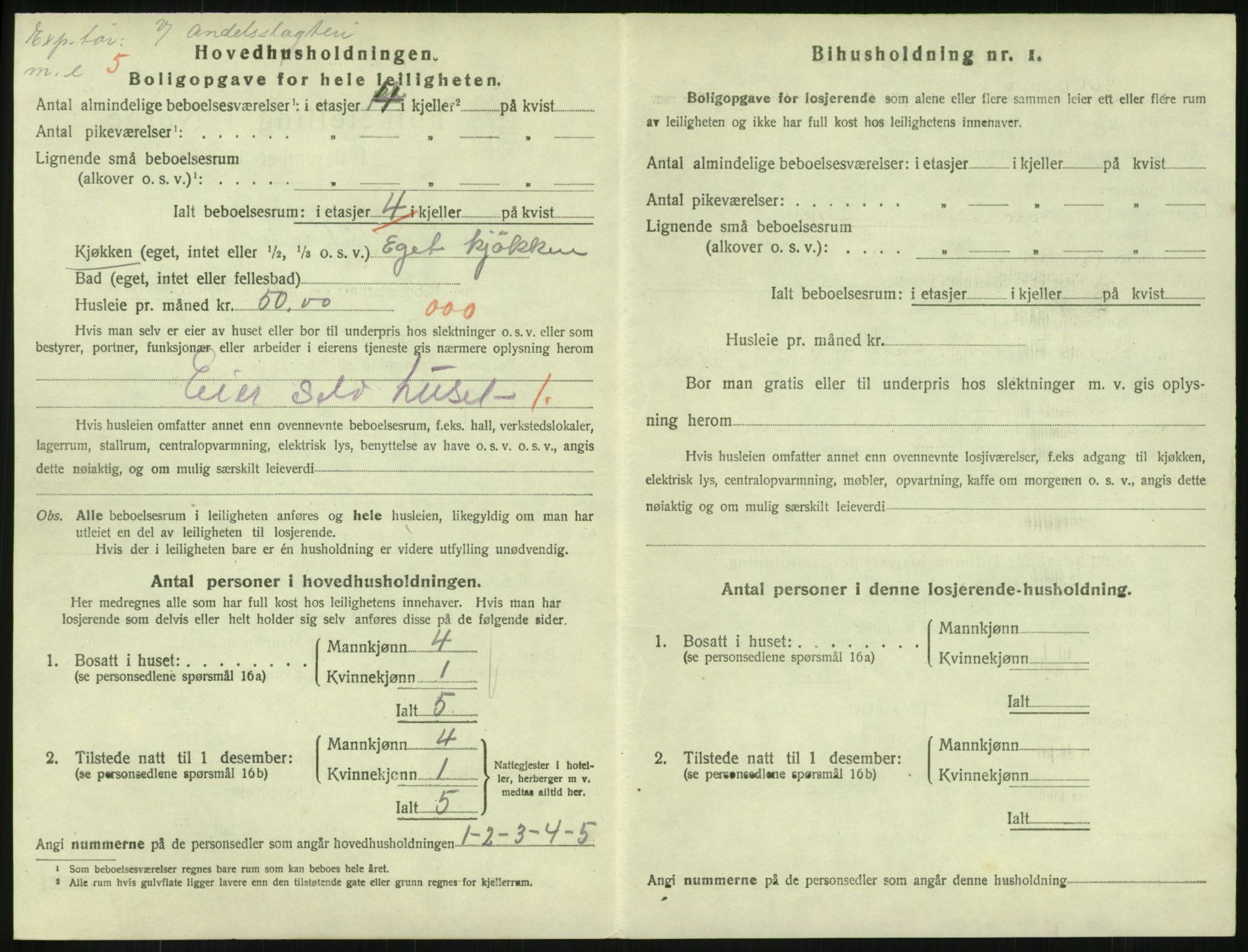 SAKO, 1920 census for Horten, 1920, p. 4550