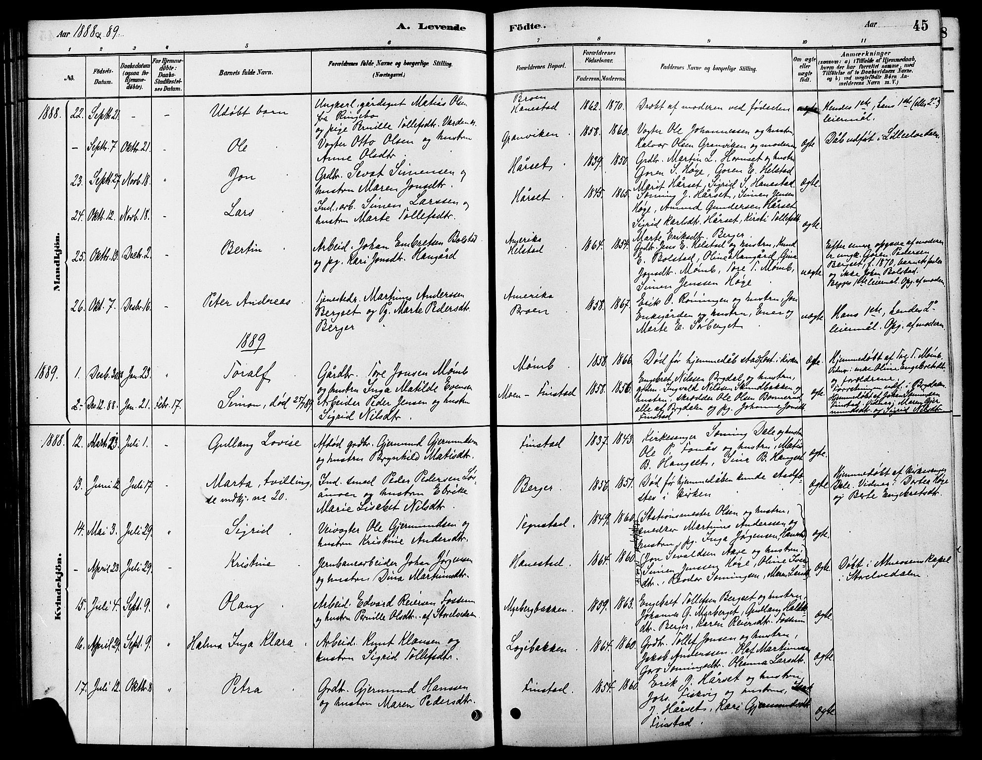 Rendalen prestekontor, SAH/PREST-054/H/Ha/Hab/L0003: Parish register (copy) no. 3, 1879-1904, p. 45