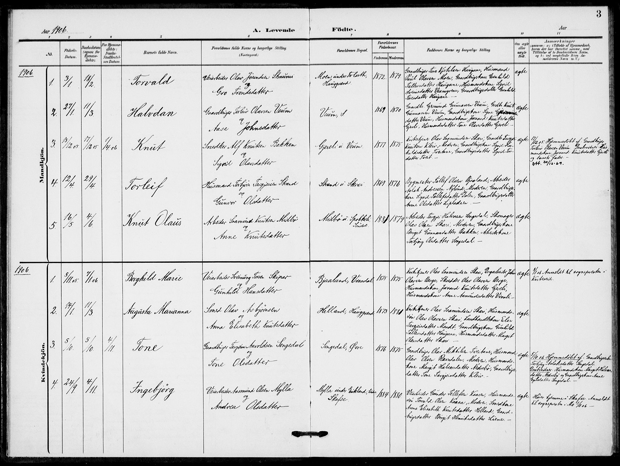 Fyresdal kirkebøker, AV/SAKO-A-263/F/Fb/L0004: Parish register (official) no. II 4, 1903-1920, p. 3