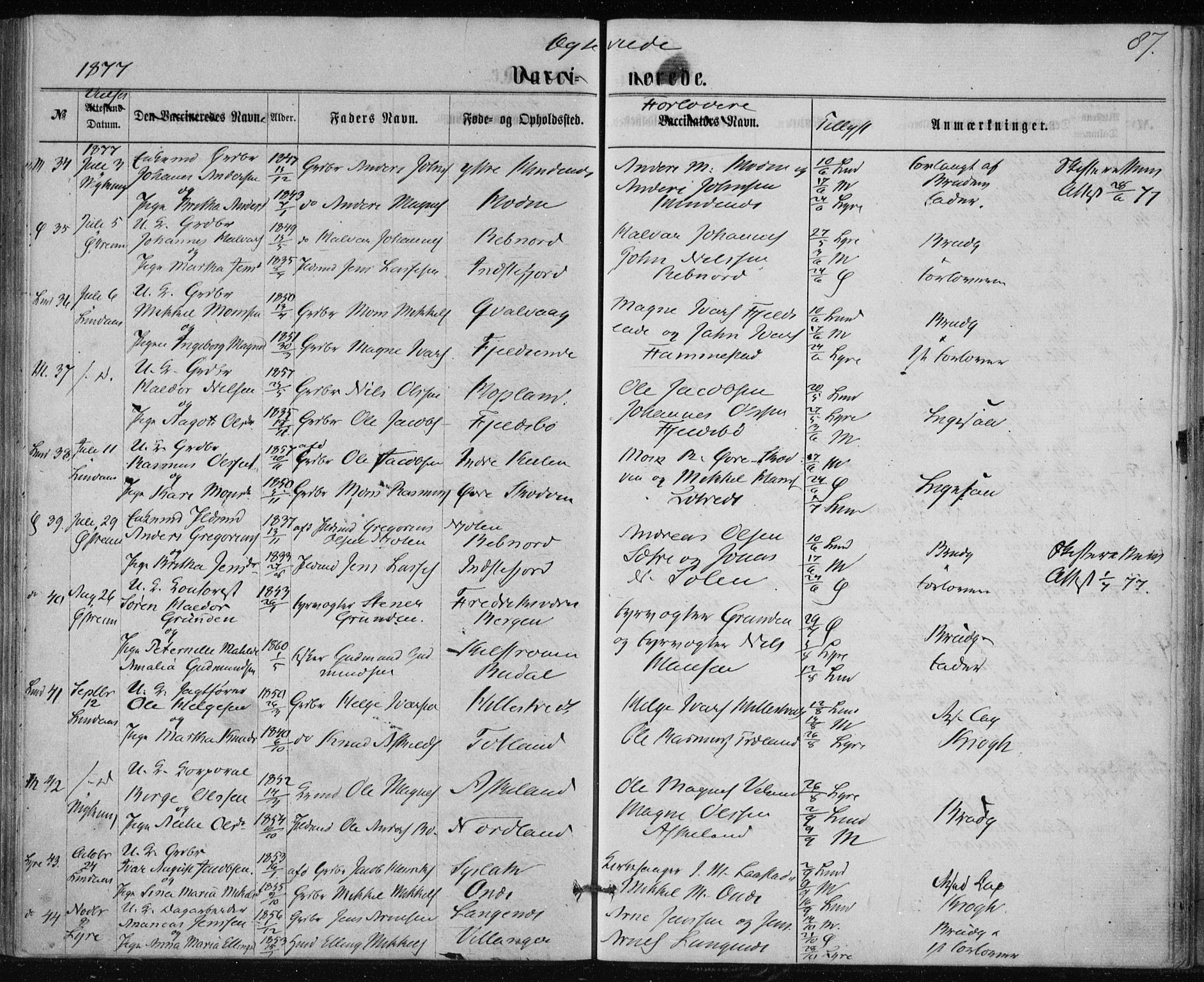 Lindås Sokneprestembete, AV/SAB-A-76701/H/Haa/Haaa/L0017: Parish register (official) no. A 17, 1874-1877, p. 87