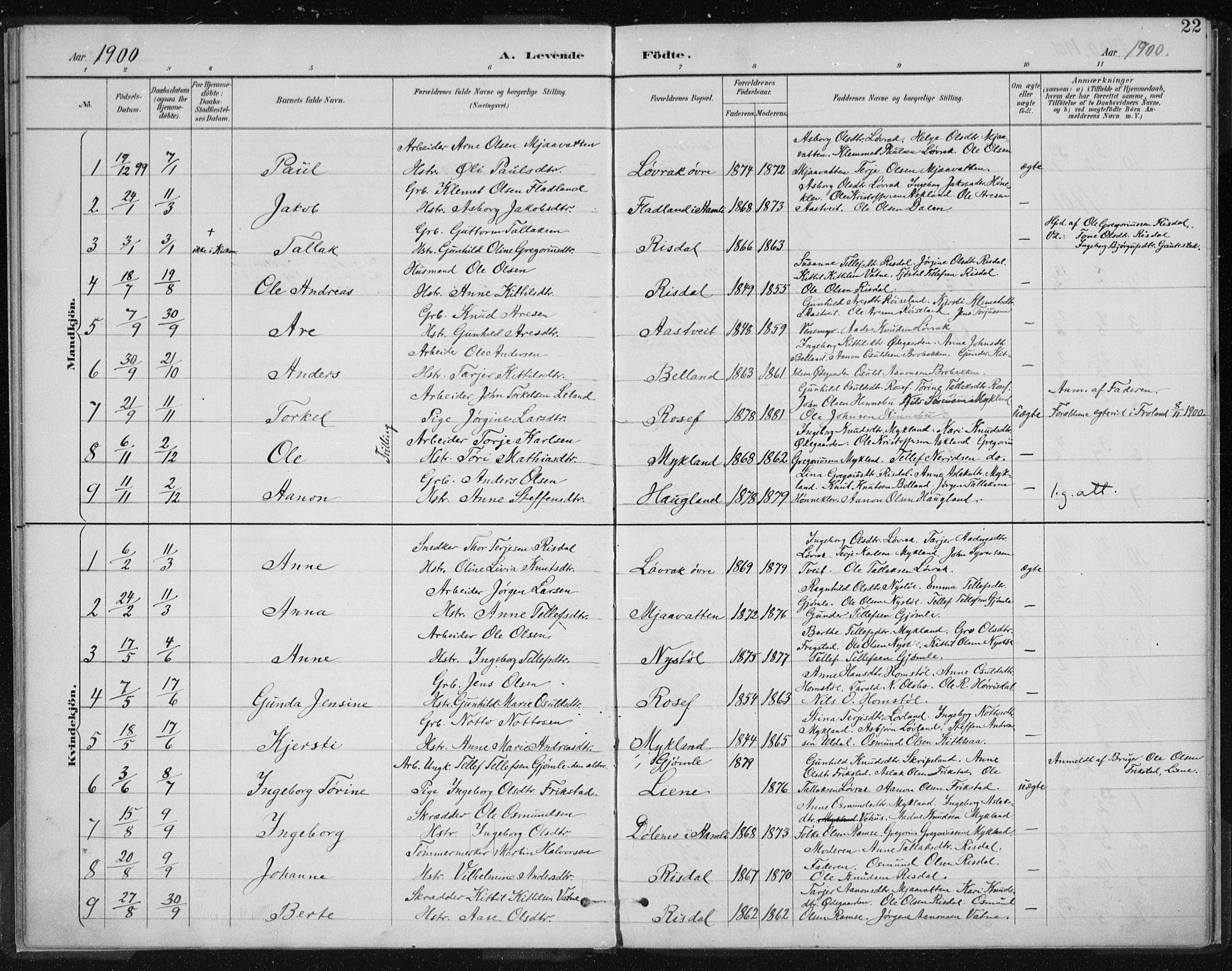 Herefoss sokneprestkontor, SAK/1111-0019/F/Fa/Fac/L0002: Parish register (official) no. A 2, 1887-1915, p. 22