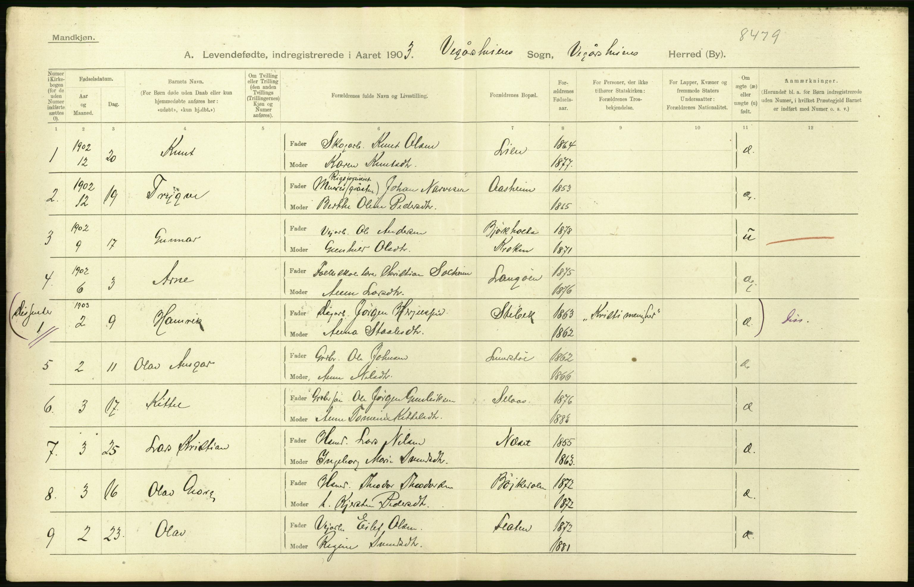 Statistisk sentralbyrå, Sosiodemografiske emner, Befolkning, AV/RA-S-2228/D/Df/Dfa/Dfaa/L0010: Nedenes amt: Fødte, gifte, døde, 1903, p. 38