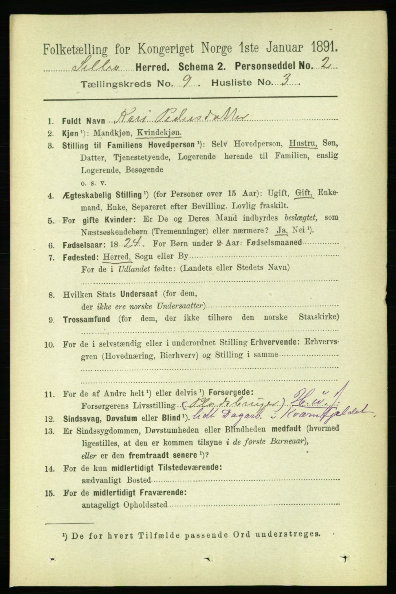 RA, 1891 census for 1664 Selbu, 1891, p. 3356