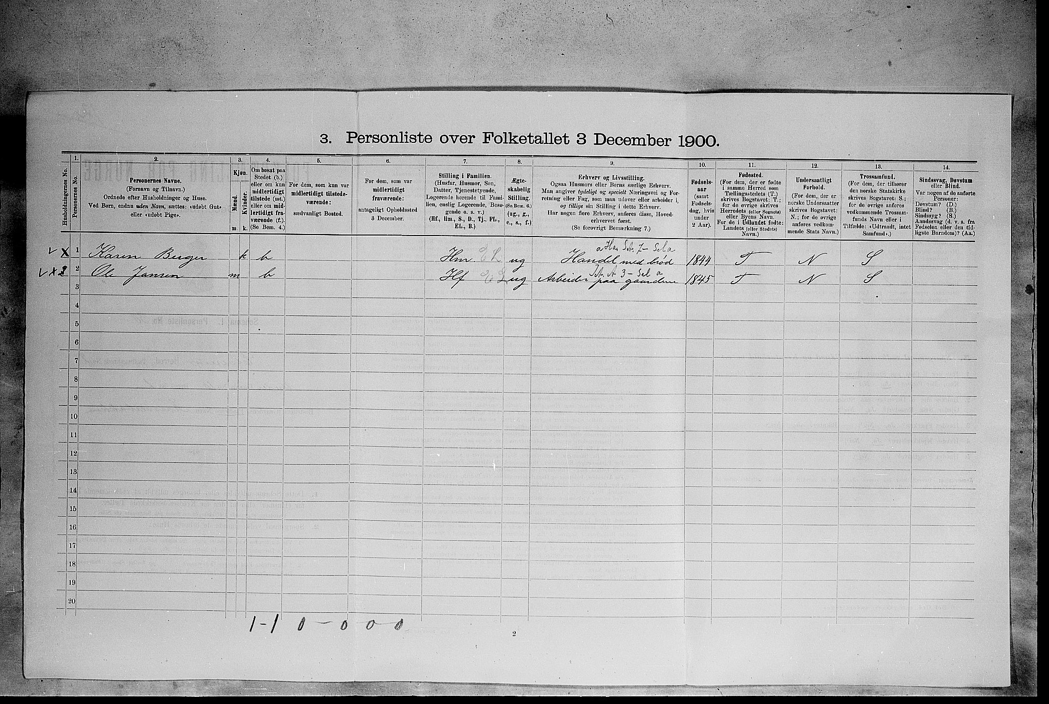 SAH, 1900 census for Elverum, 1900, p. 391