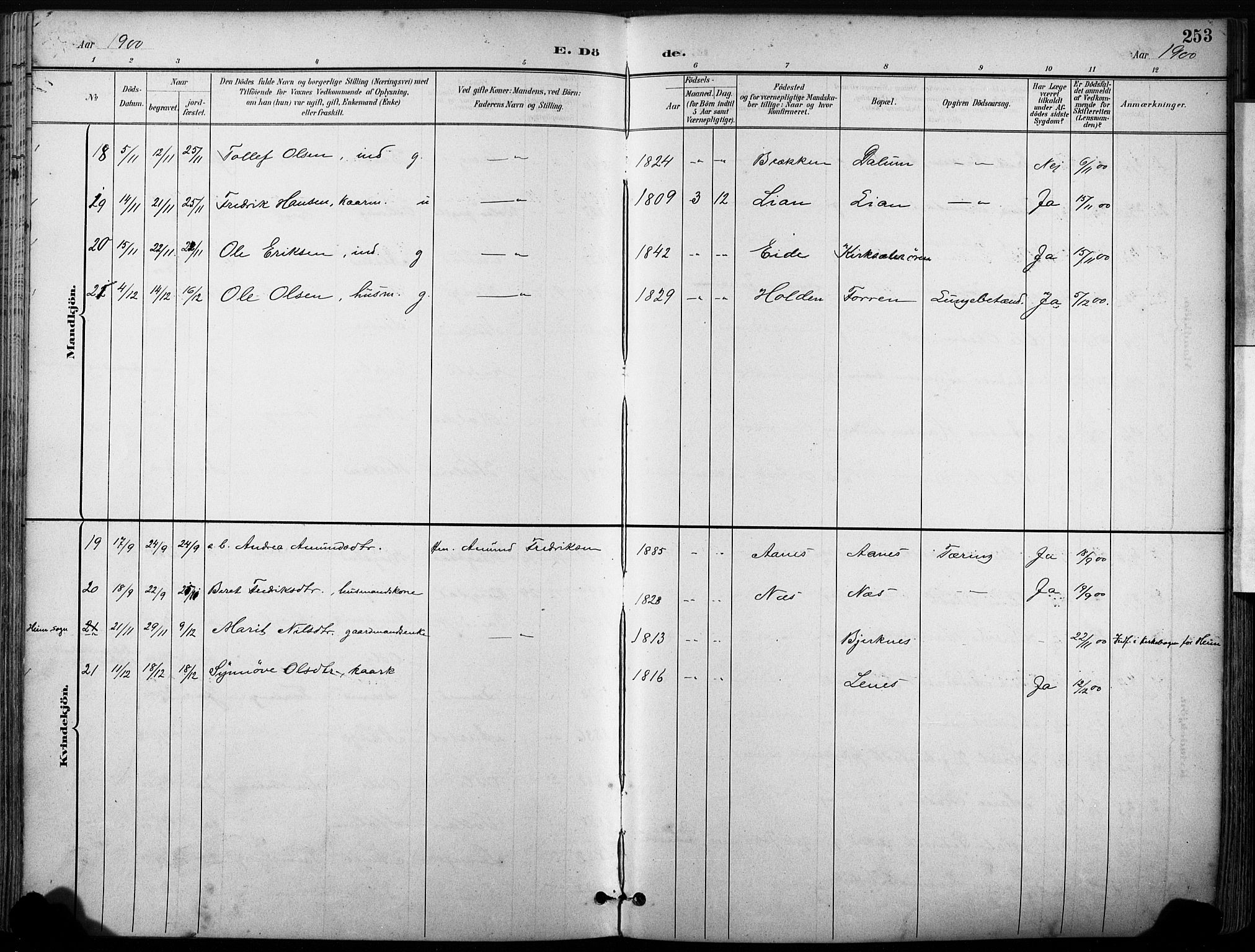 Ministerialprotokoller, klokkerbøker og fødselsregistre - Sør-Trøndelag, SAT/A-1456/630/L0497: Parish register (official) no. 630A10, 1896-1910, p. 253