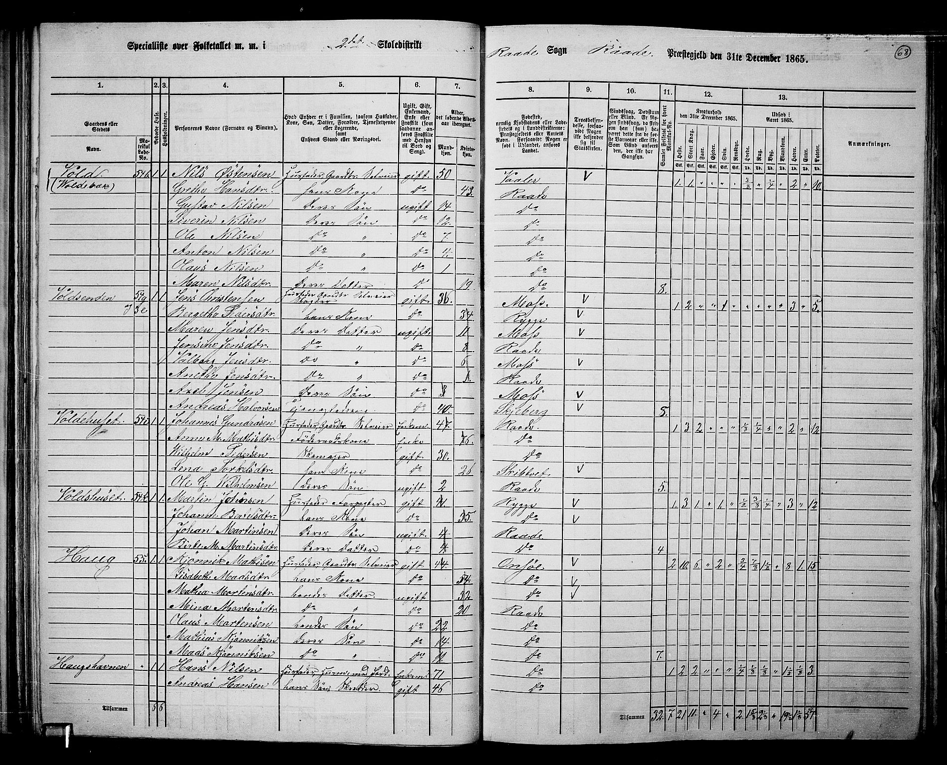 RA, 1865 census for Råde, 1865, p. 62