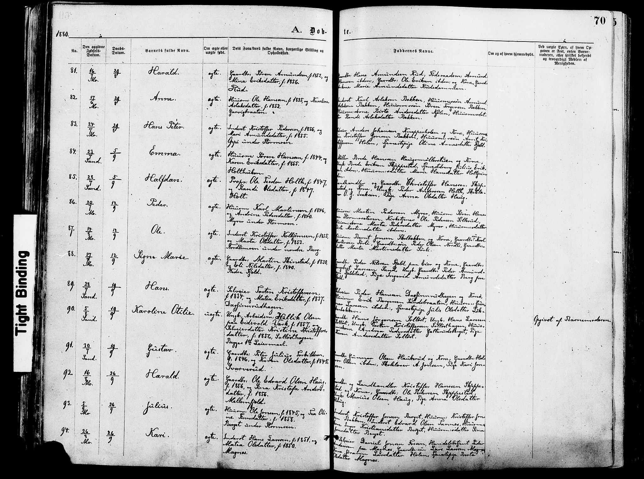 Nord-Odal prestekontor, AV/SAH-PREST-032/H/Ha/Haa/L0005: Parish register (official) no. 5, 1874-1885, p. 70