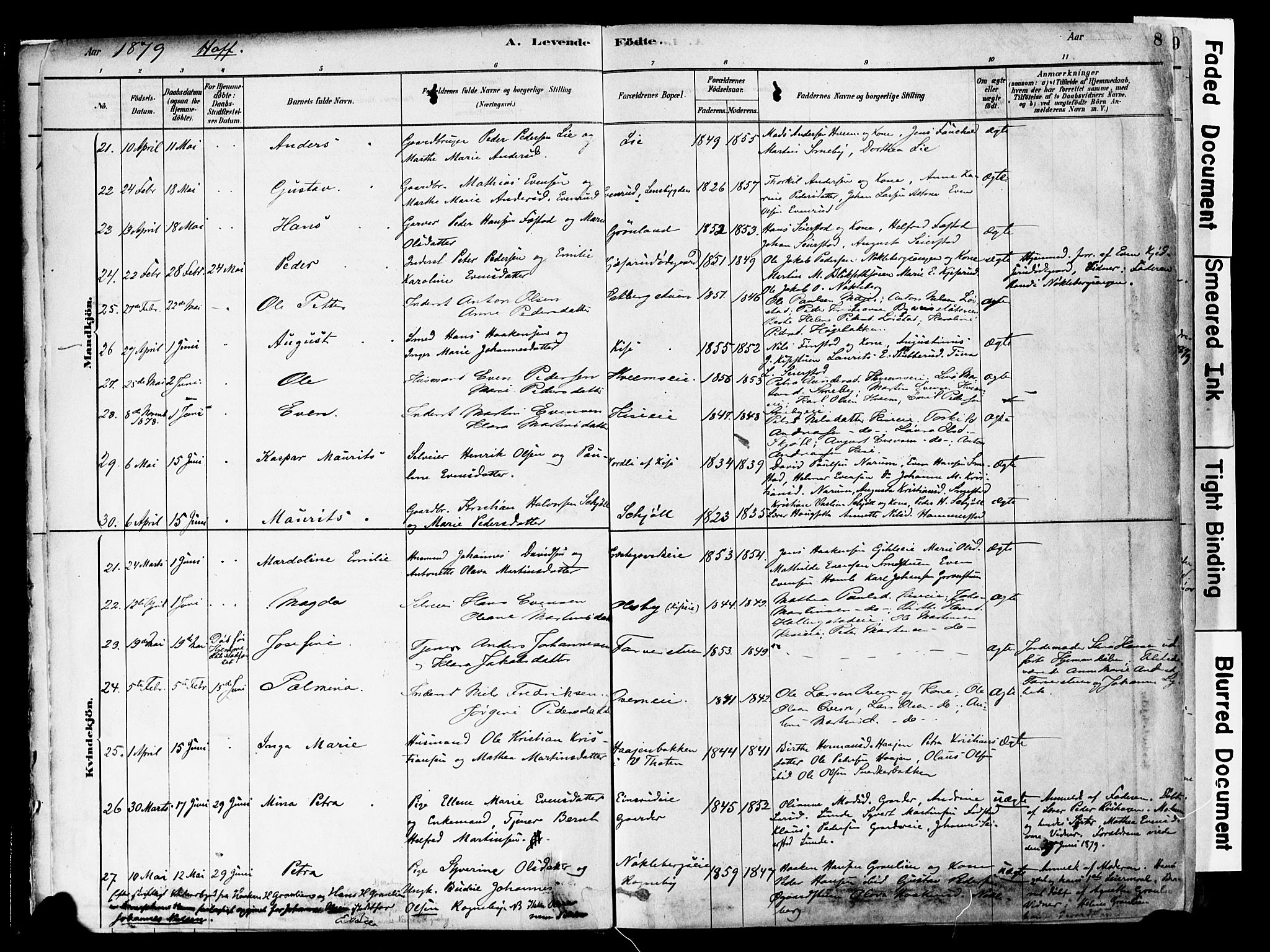 Østre Toten prestekontor, AV/SAH-PREST-104/H/Ha/Haa/L0006: Parish register (official) no. 6 /1, 1878-1896, p. 8