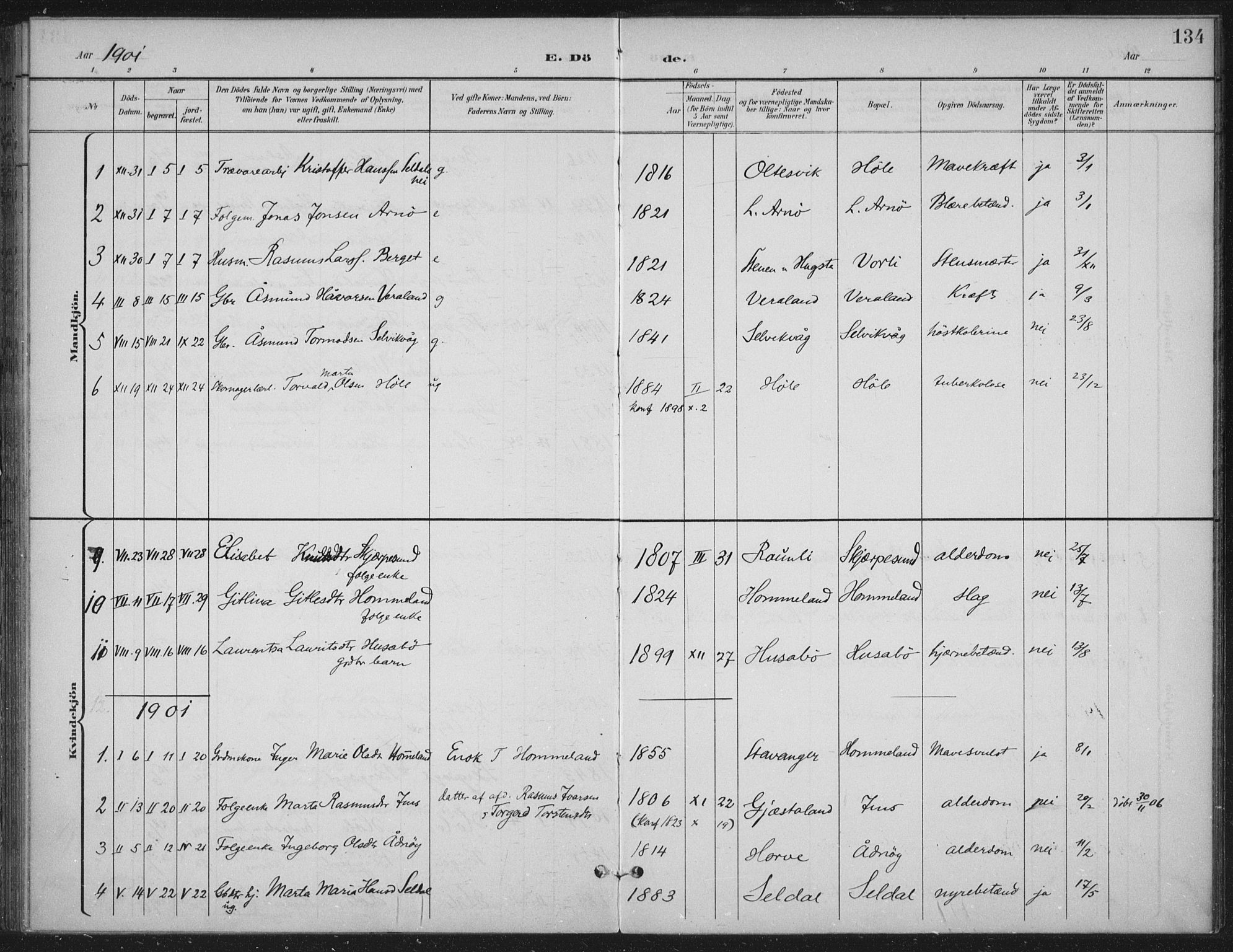 Høgsfjord sokneprestkontor, AV/SAST-A-101624/H/Ha/Haa/L0008: Parish register (official) no. A 8, 1898-1920, p. 134