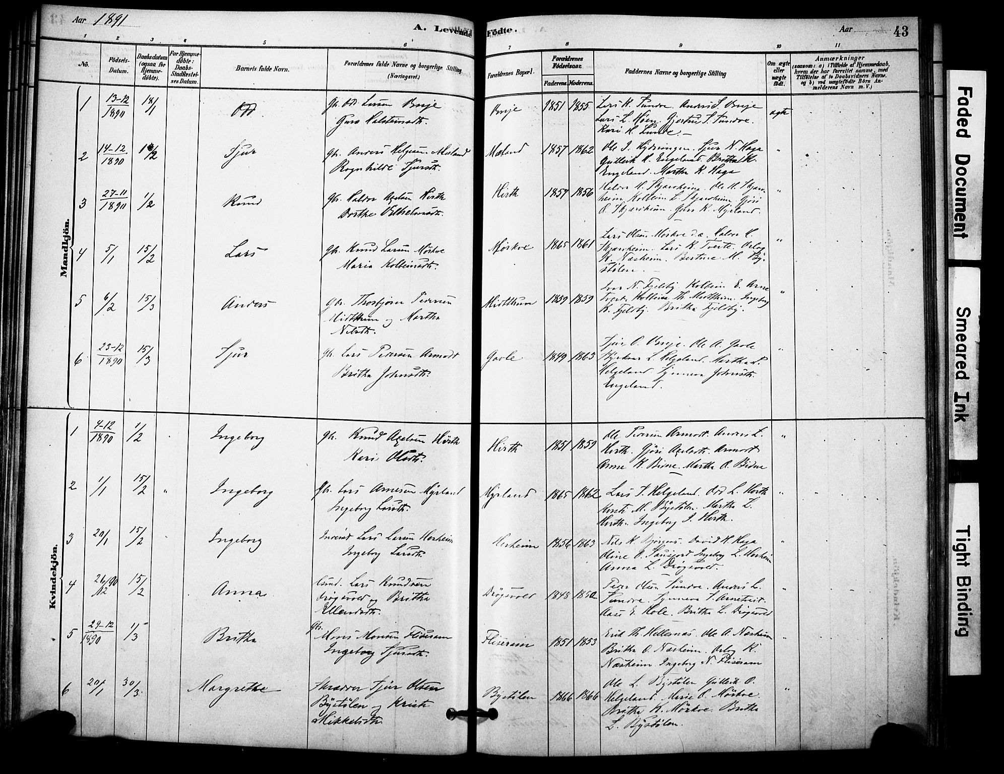 Vossestrand Sokneprestembete, AV/SAB-A-79101/H/Haa: Parish register (official) no. C 1, 1878-1903, p. 43