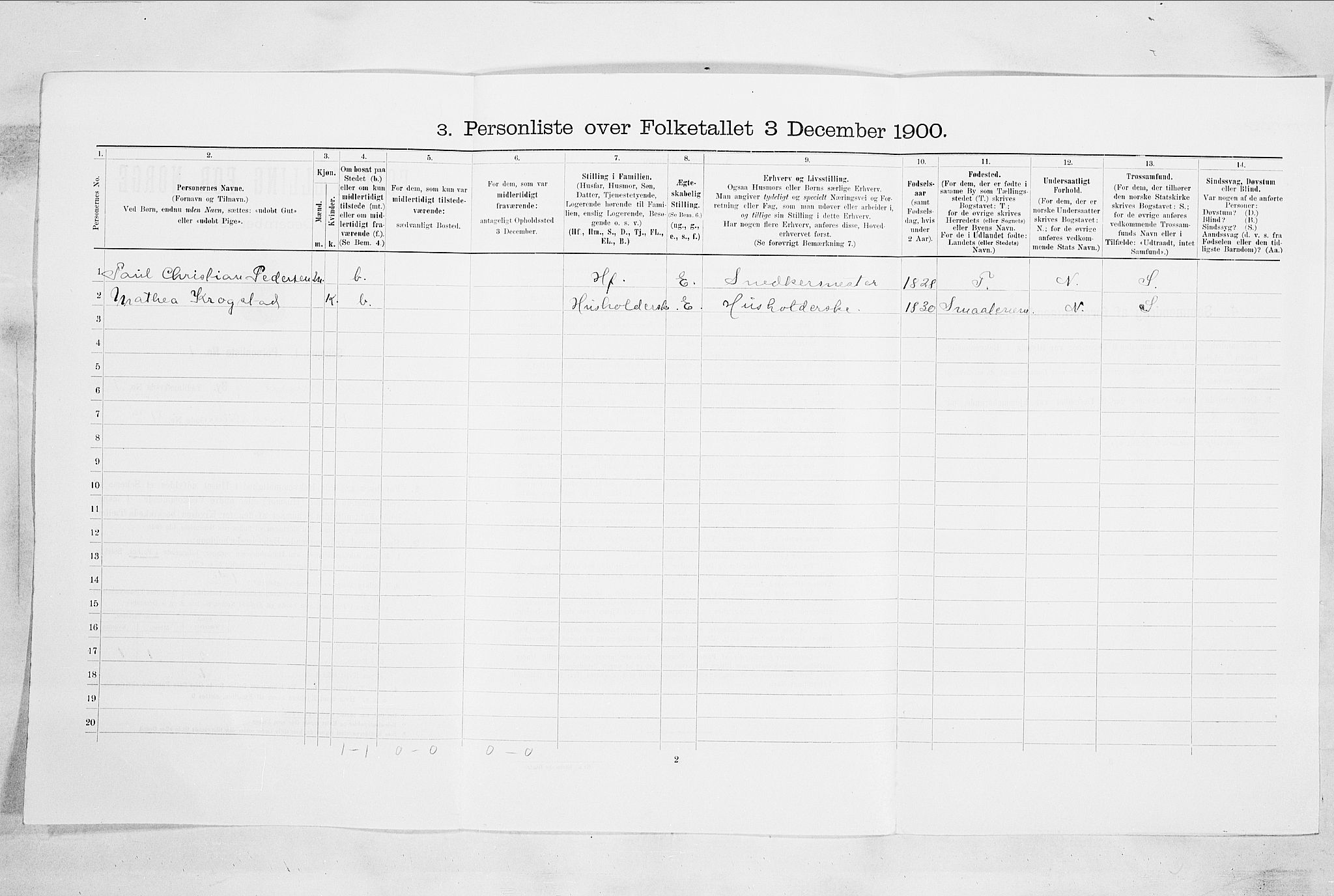 RA, 1900 census for Drammen, 1900, p. 1315