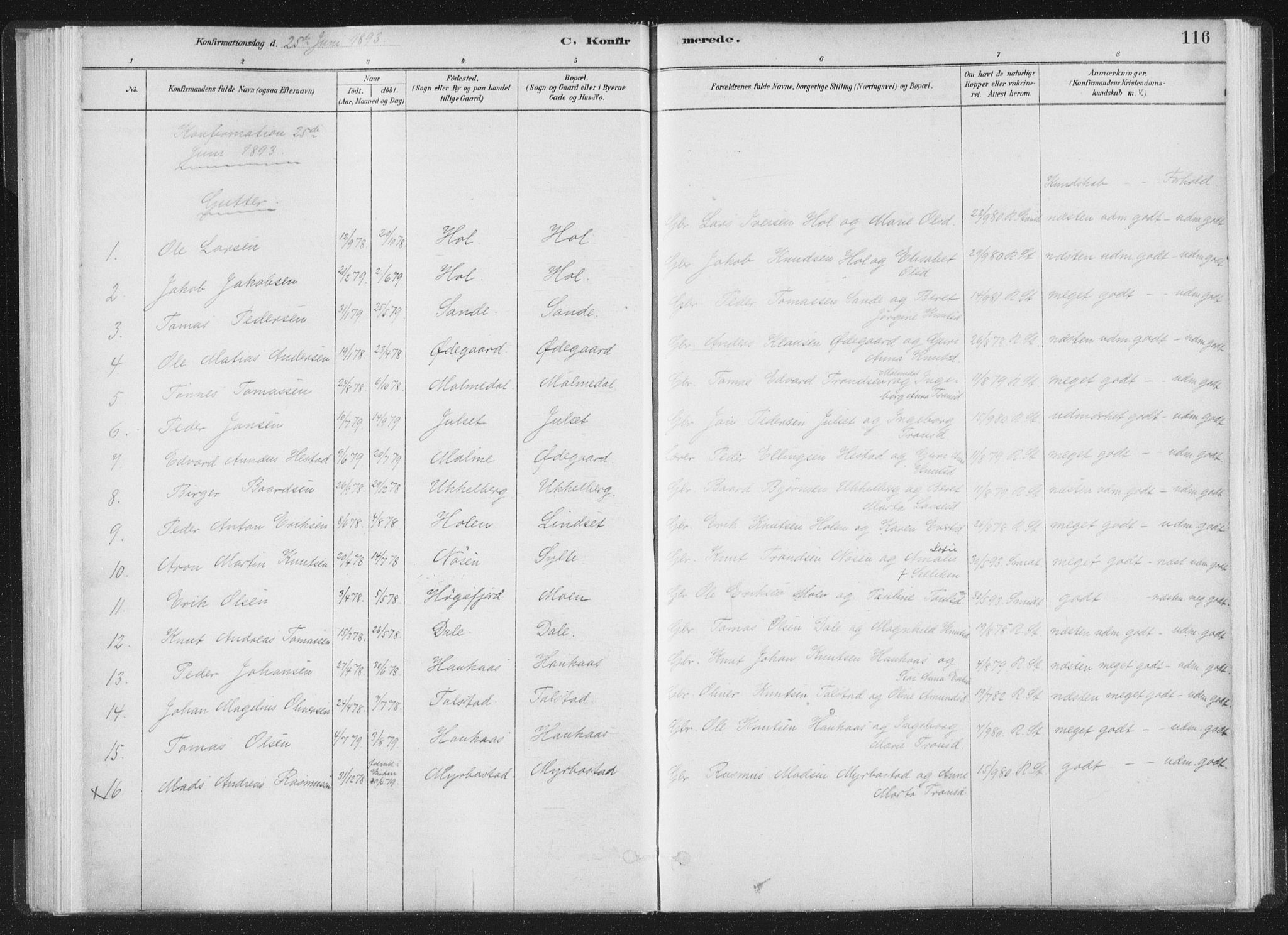 Ministerialprotokoller, klokkerbøker og fødselsregistre - Møre og Romsdal, AV/SAT-A-1454/564/L0740: Parish register (official) no. 564A01, 1880-1899, p. 116