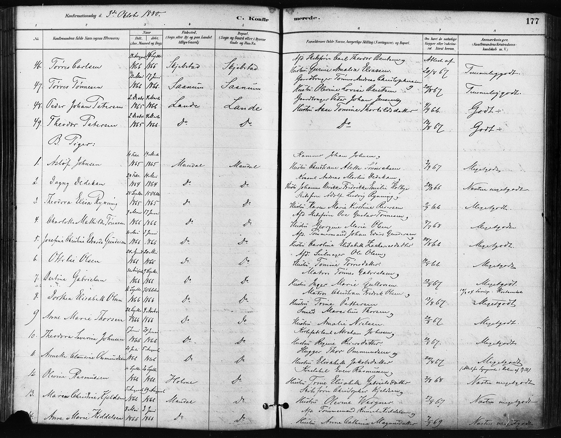 Mandal sokneprestkontor, AV/SAK-1111-0030/F/Fa/Faa/L0016: Parish register (official) no. A 16, 1880-1890, p. 177