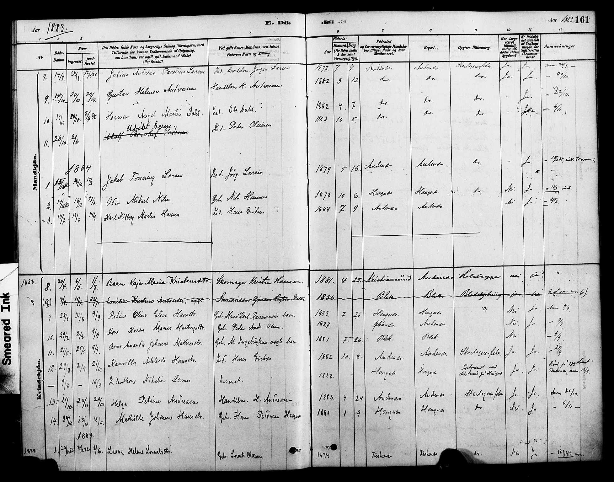 Ministerialprotokoller, klokkerbøker og fødselsregistre - Nordland, AV/SAT-A-1459/899/L1436: Parish register (official) no. 899A04, 1881-1896, p. 161