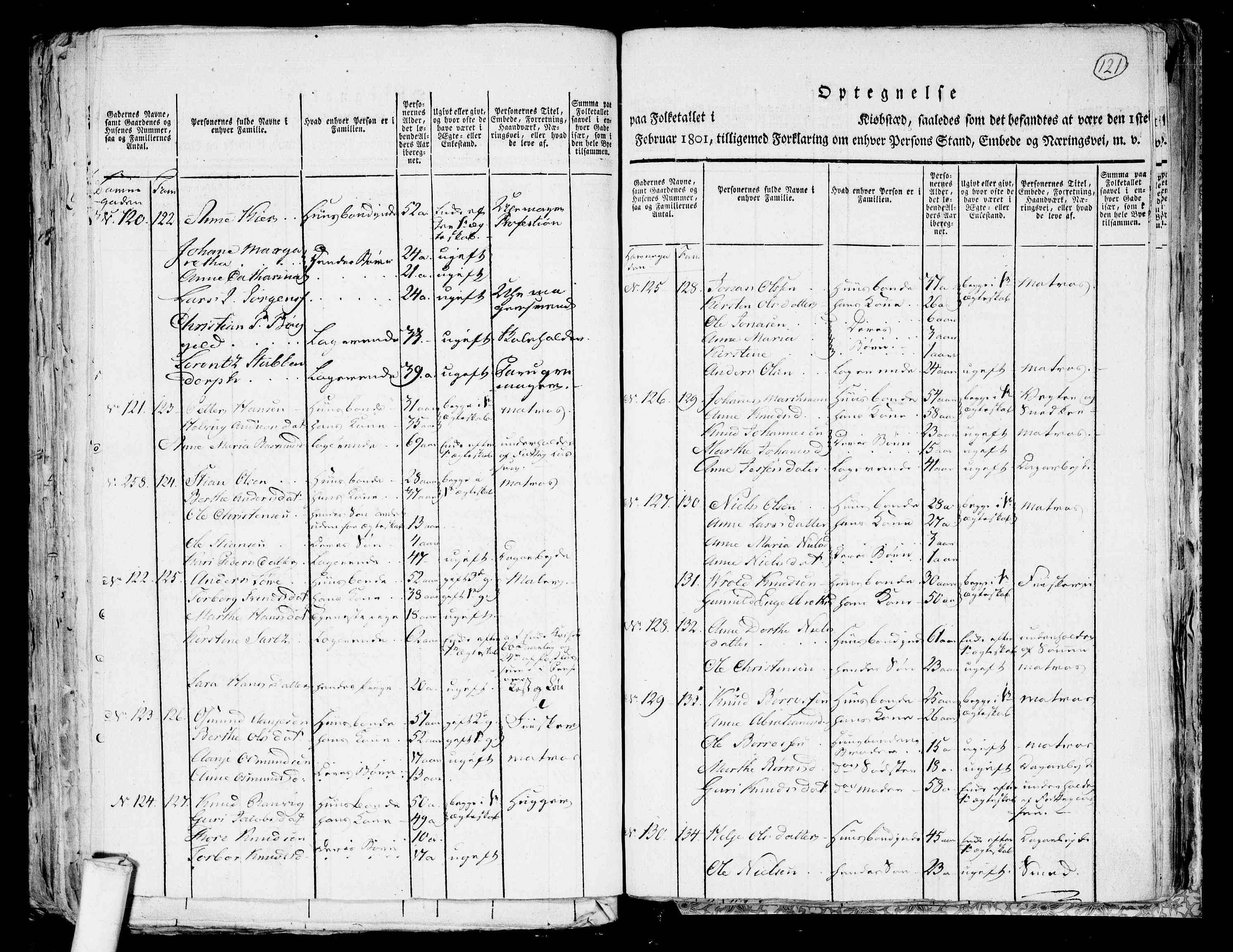 RA, 1801 census for 0901P Risør, 1801, p. 120b-121a