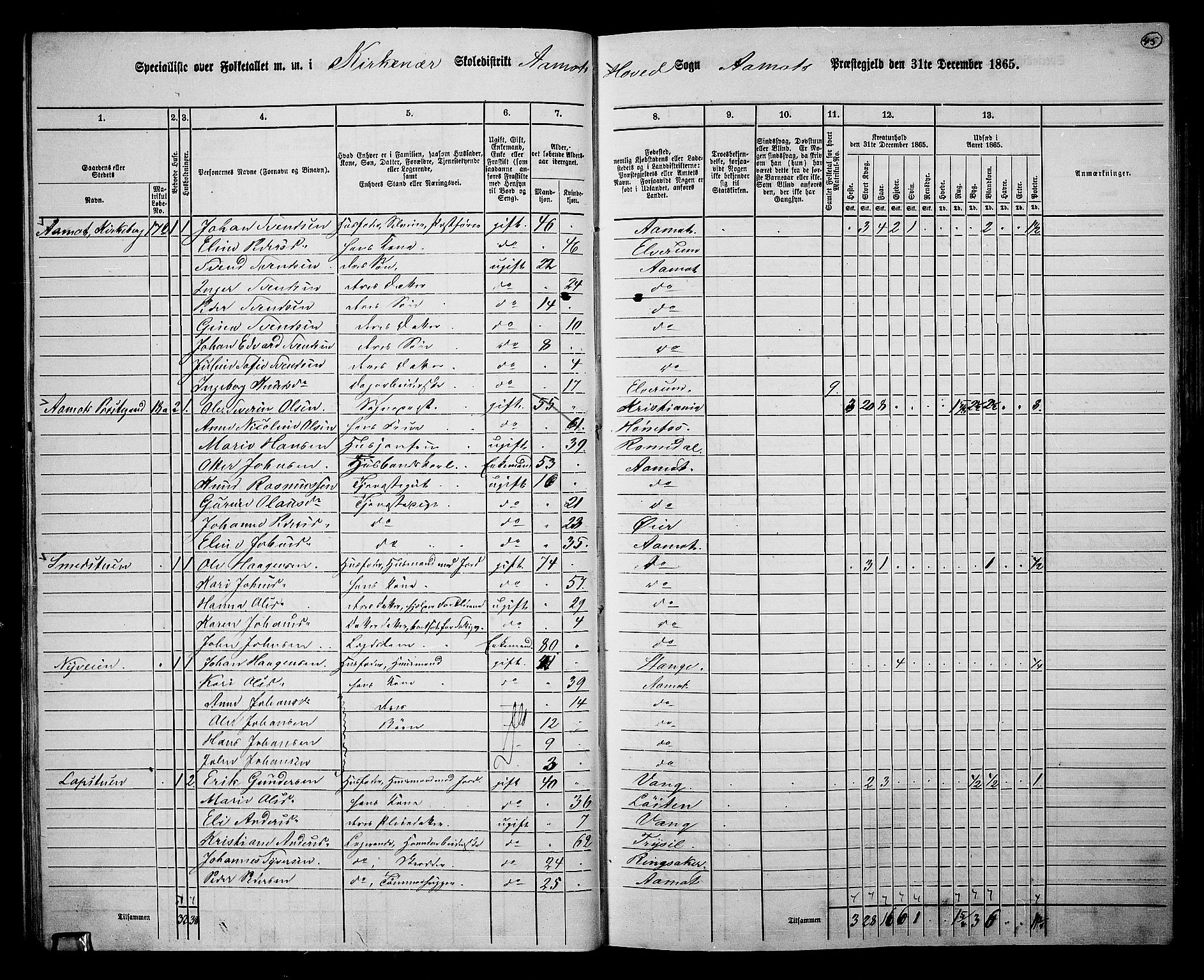 RA, 1865 census for Åmot, 1865, p. 42