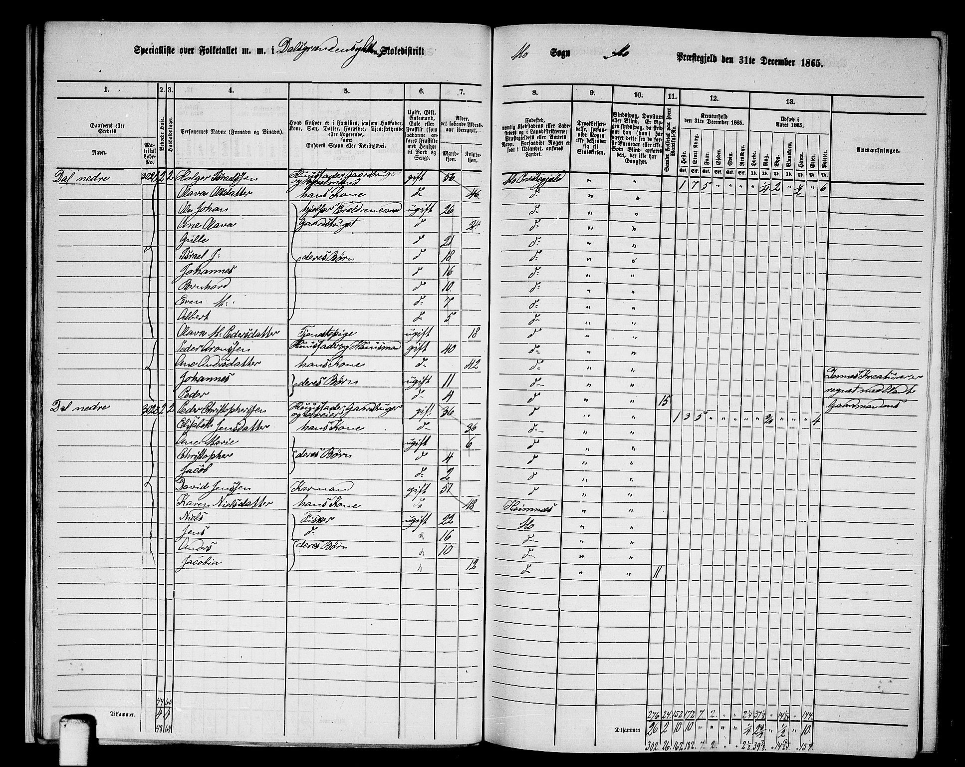 RA, 1865 census for Mo, 1865, p. 20