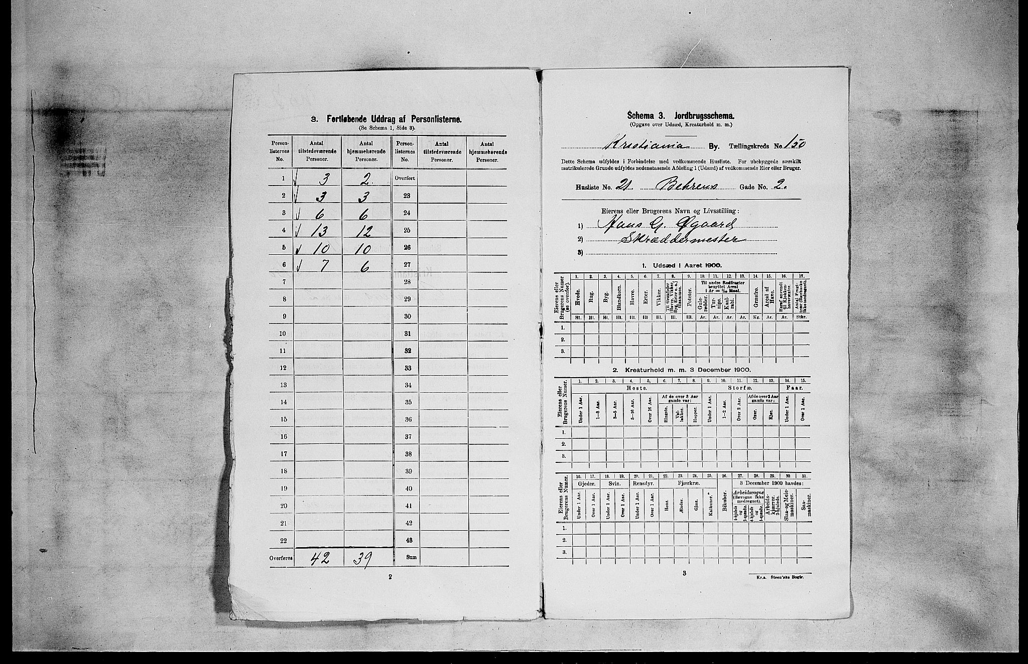 SAO, 1900 census for Kristiania, 1900, p. 3676