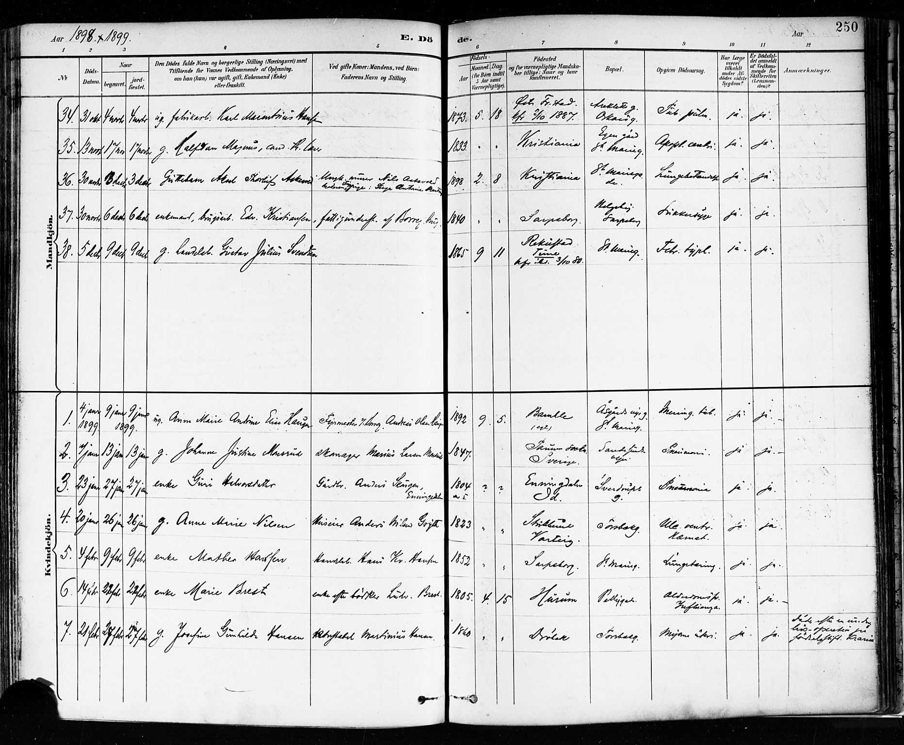 Sarpsborg prestekontor Kirkebøker, SAO/A-2006/F/Fa/L0004: Parish register (official) no. 4, 1892-1899, p. 250