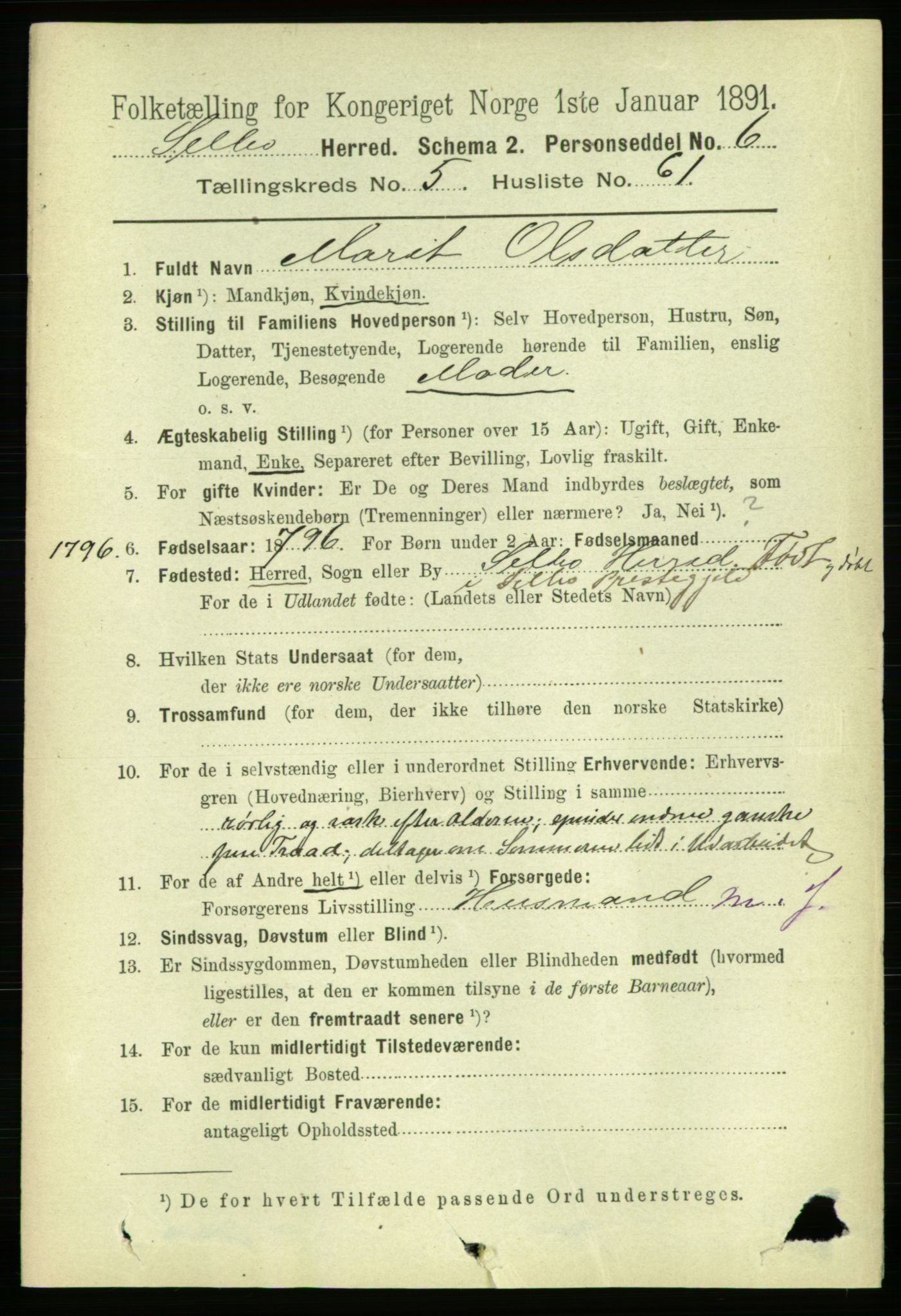 RA, 1891 census for 1664 Selbu, 1891, p. 2055