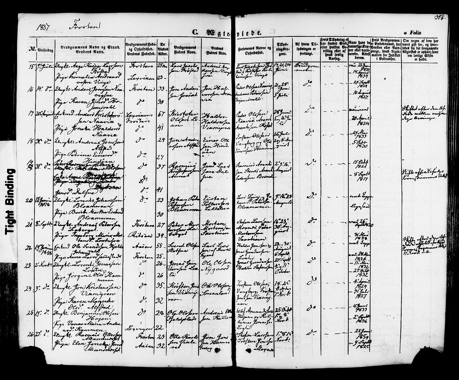 Ministerialprotokoller, klokkerbøker og fødselsregistre - Nord-Trøndelag, AV/SAT-A-1458/713/L0116: Parish register (official) no. 713A07, 1850-1877, p. 356