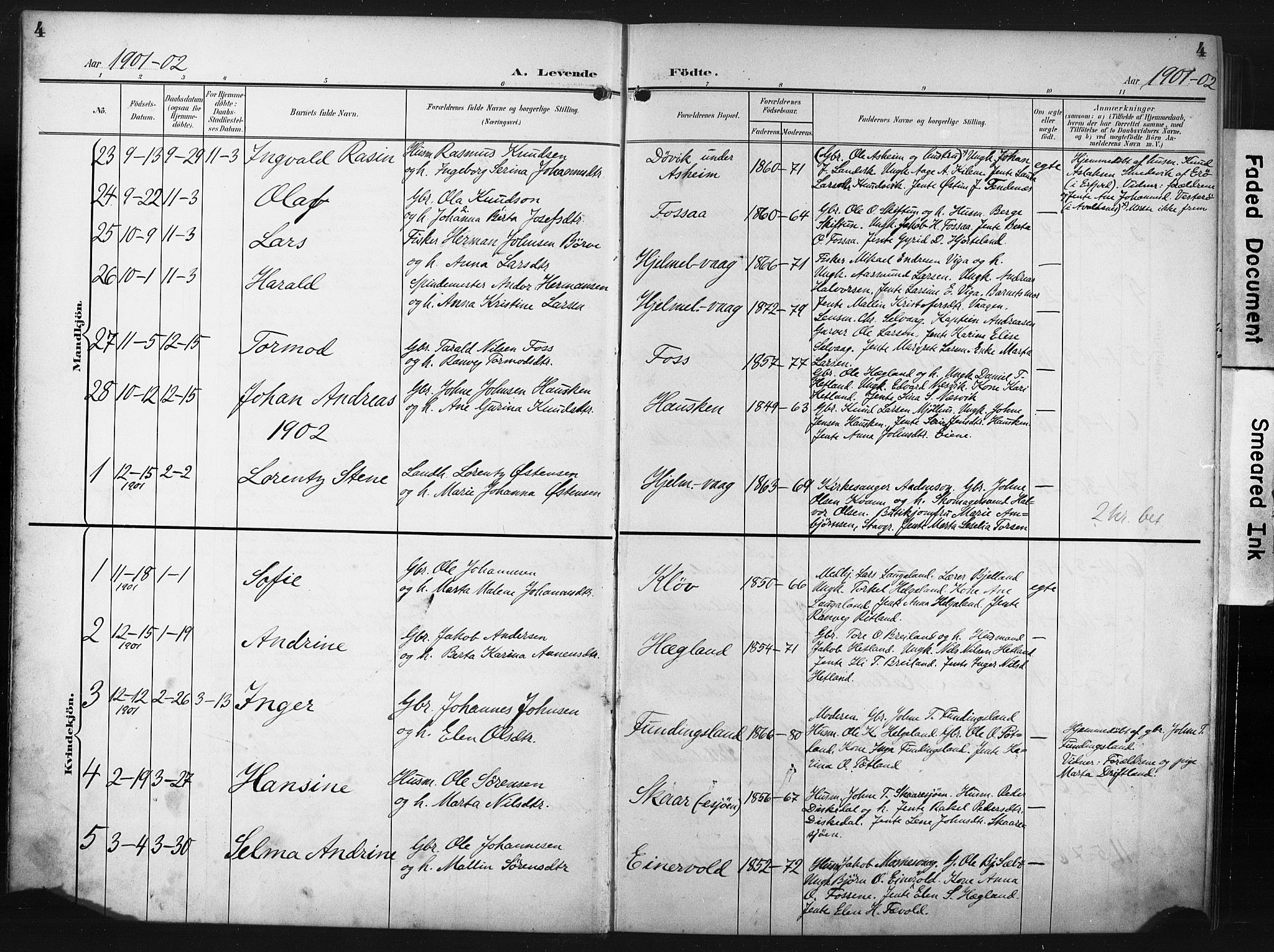 Hjelmeland sokneprestkontor, AV/SAST-A-101843/02/A/L0002: Parish register (official) no. A 17, 1901-1916, p. 4