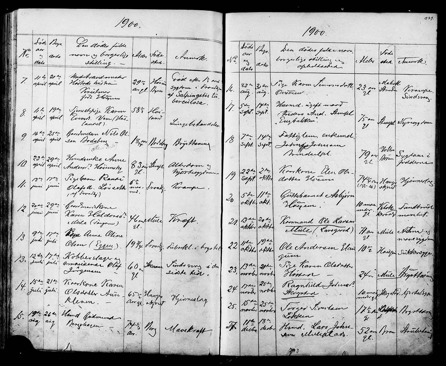 Ministerialprotokoller, klokkerbøker og fødselsregistre - Sør-Trøndelag, SAT/A-1456/612/L0387: Parish register (copy) no. 612C03, 1874-1908, p. 243