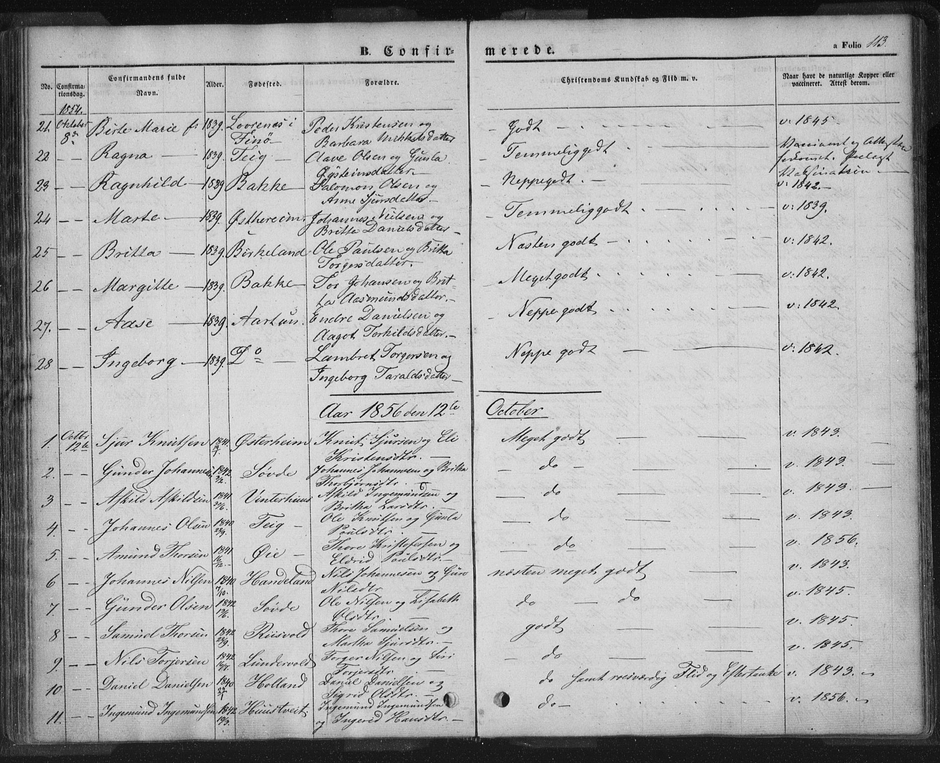 Sand sokneprestkontor, AV/SAST-A-101848/01/III/L0002: Parish register (official) no. A 2, 1838-1859, p. 113