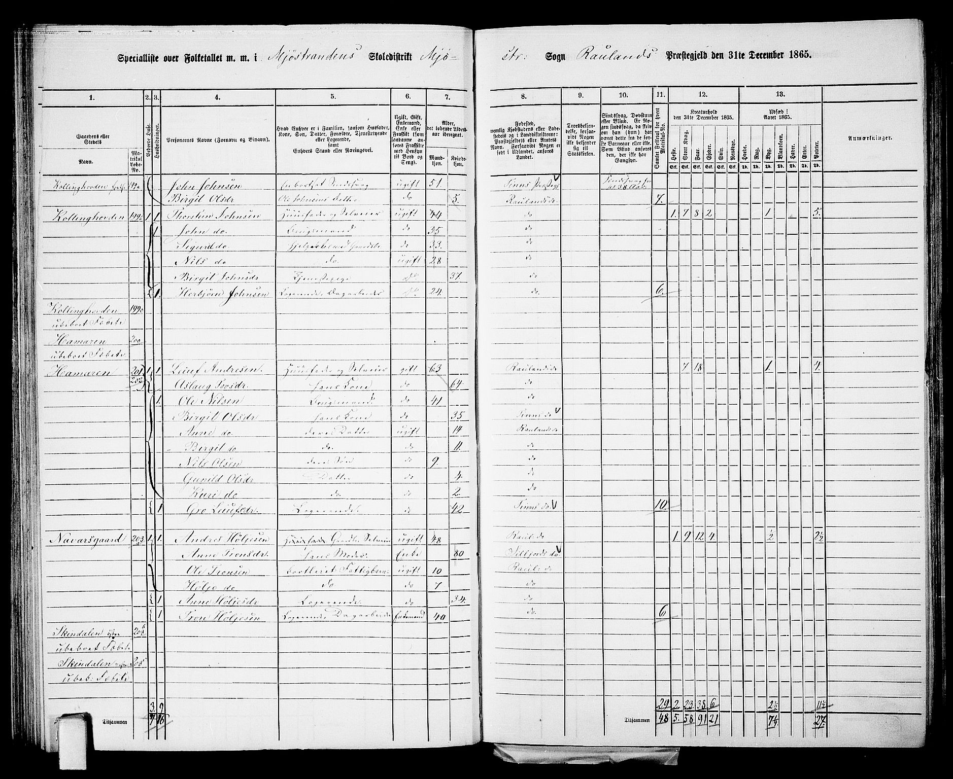 RA, 1865 census for Rauland, 1865, p. 54