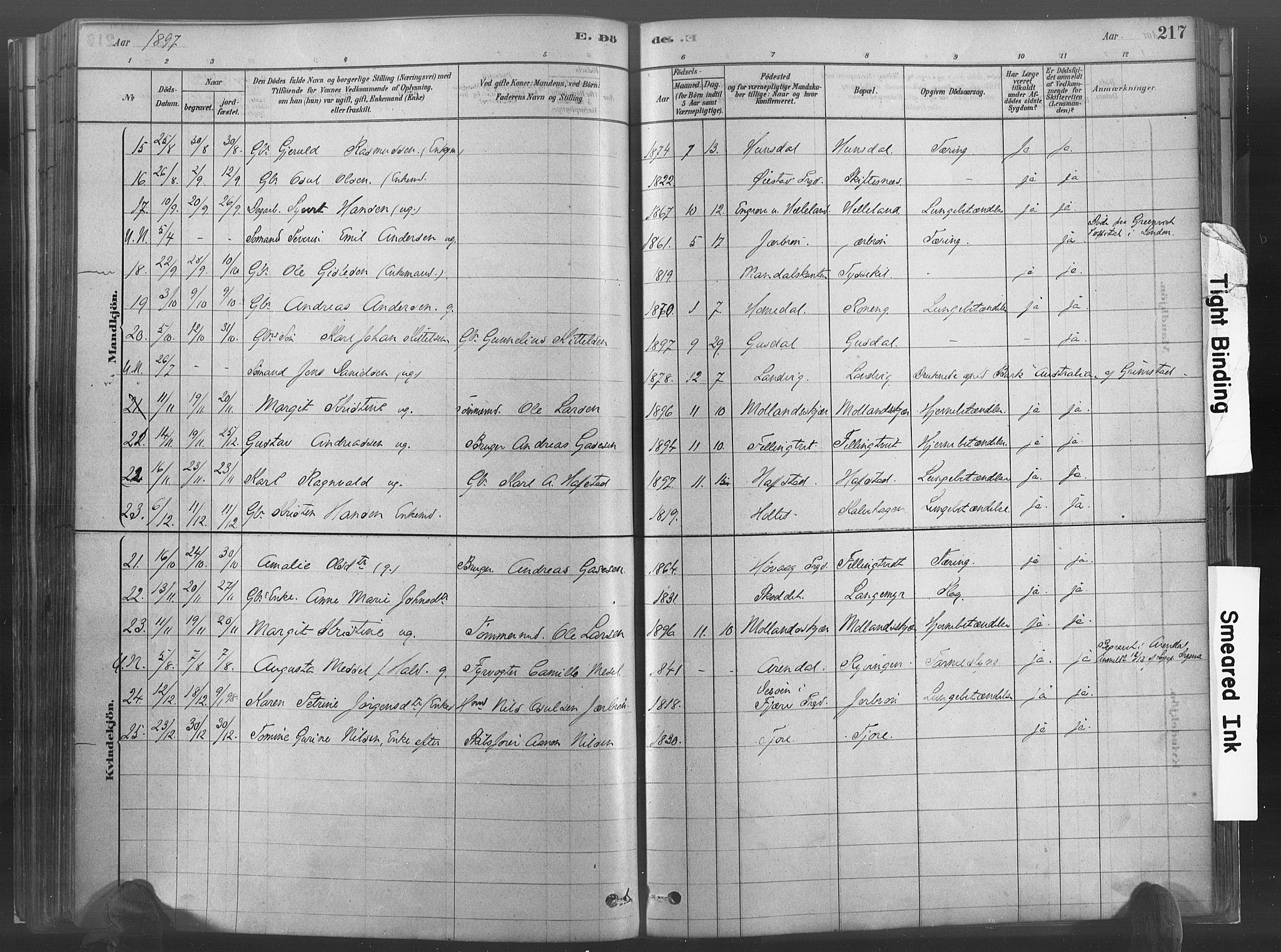 Hommedal sokneprestkontor, SAK/1111-0023/F/Fa/Fab/L0006: Parish register (official) no. A 6, 1878-1897, p. 217