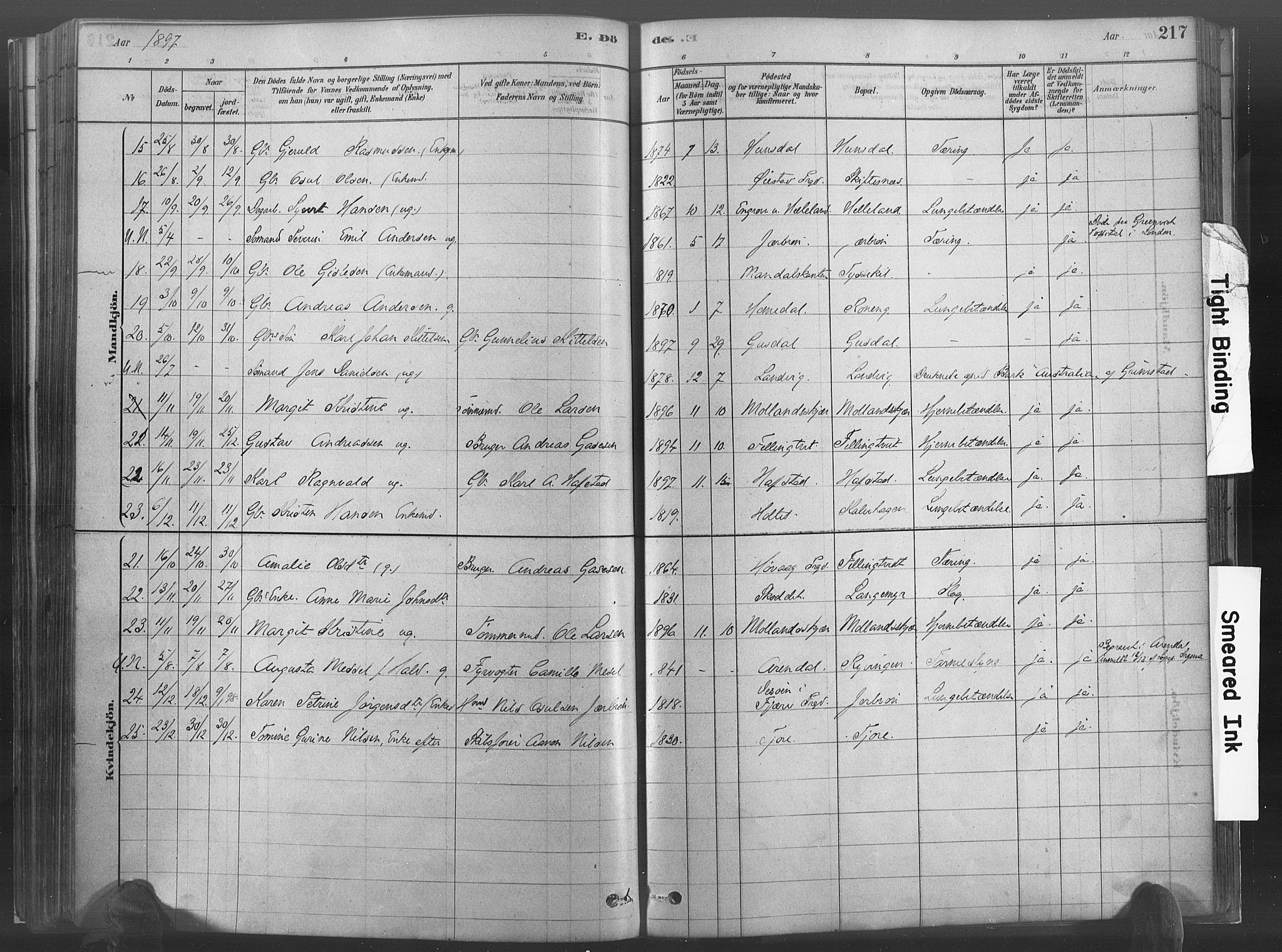 Hommedal sokneprestkontor, AV/SAK-1111-0023/F/Fa/Fab/L0006: Parish register (official) no. A 6, 1878-1897, p. 217