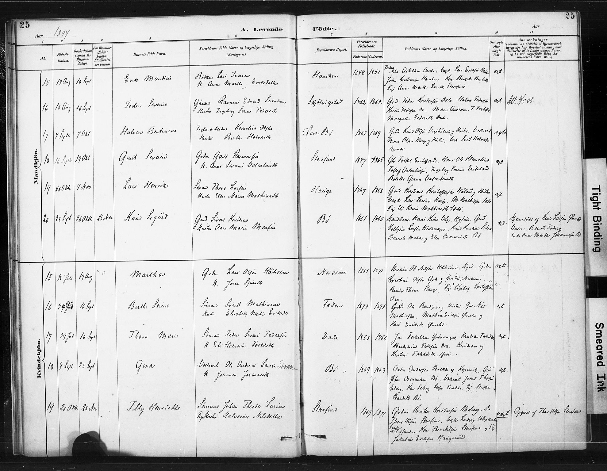 Torvastad sokneprestkontor, AV/SAST-A -101857/H/Ha/Haa/L0015: Parish register (official) no. A 14, 1888-1899, p. 25