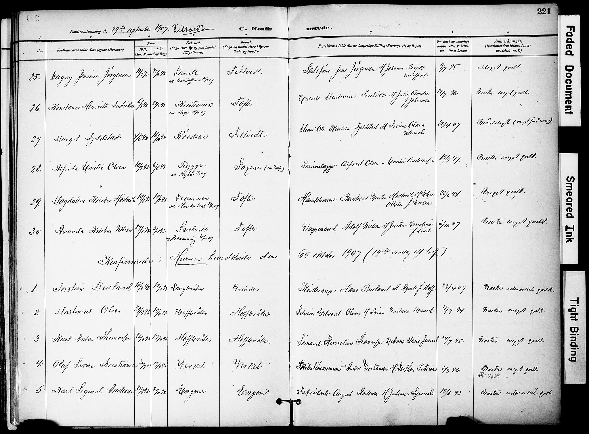 Hurum kirkebøker, AV/SAKO-A-229/F/Fa/L0015: Parish register (official) no. 15, 1896-1908, p. 221